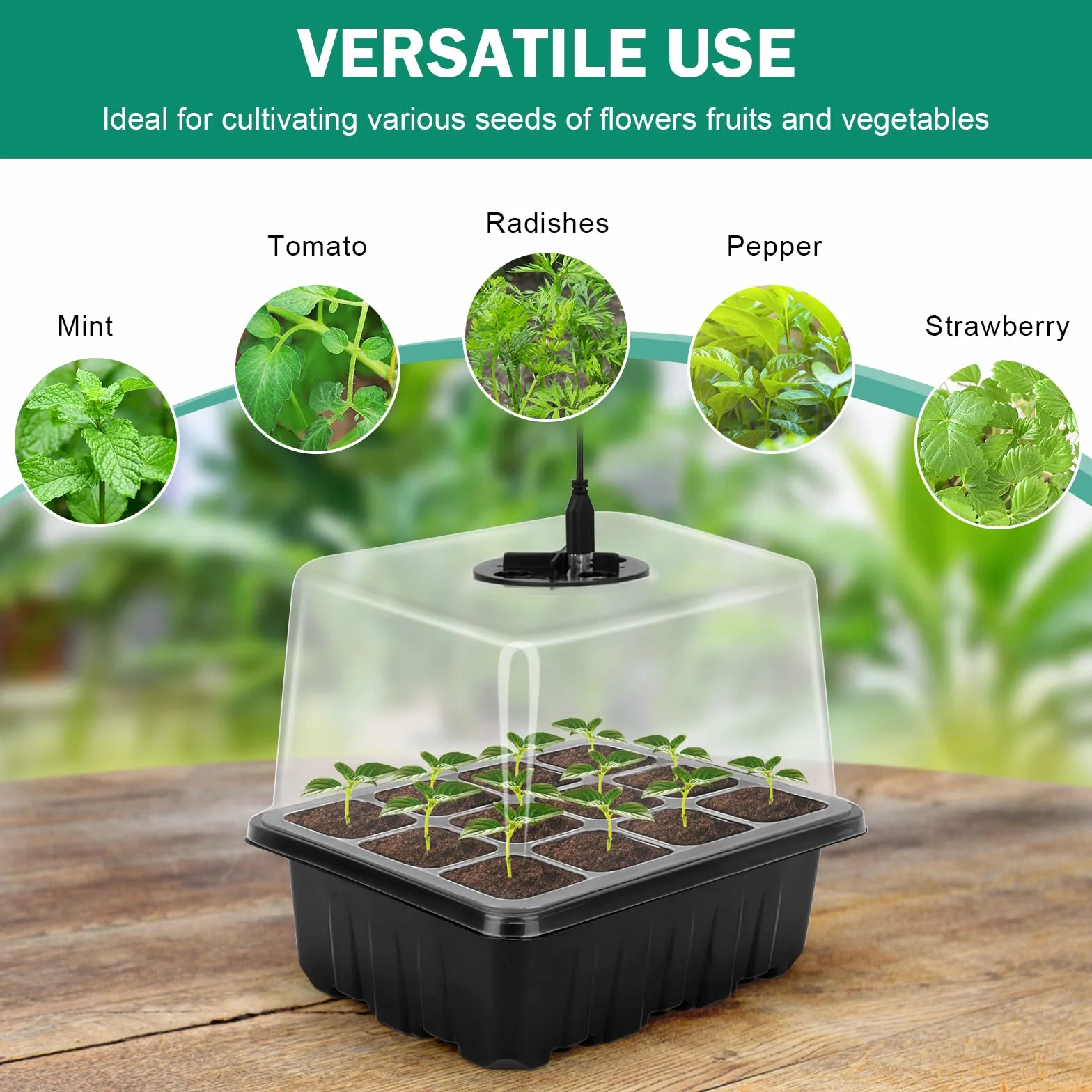 RIOGOO (6 placstic seed starter tray)
