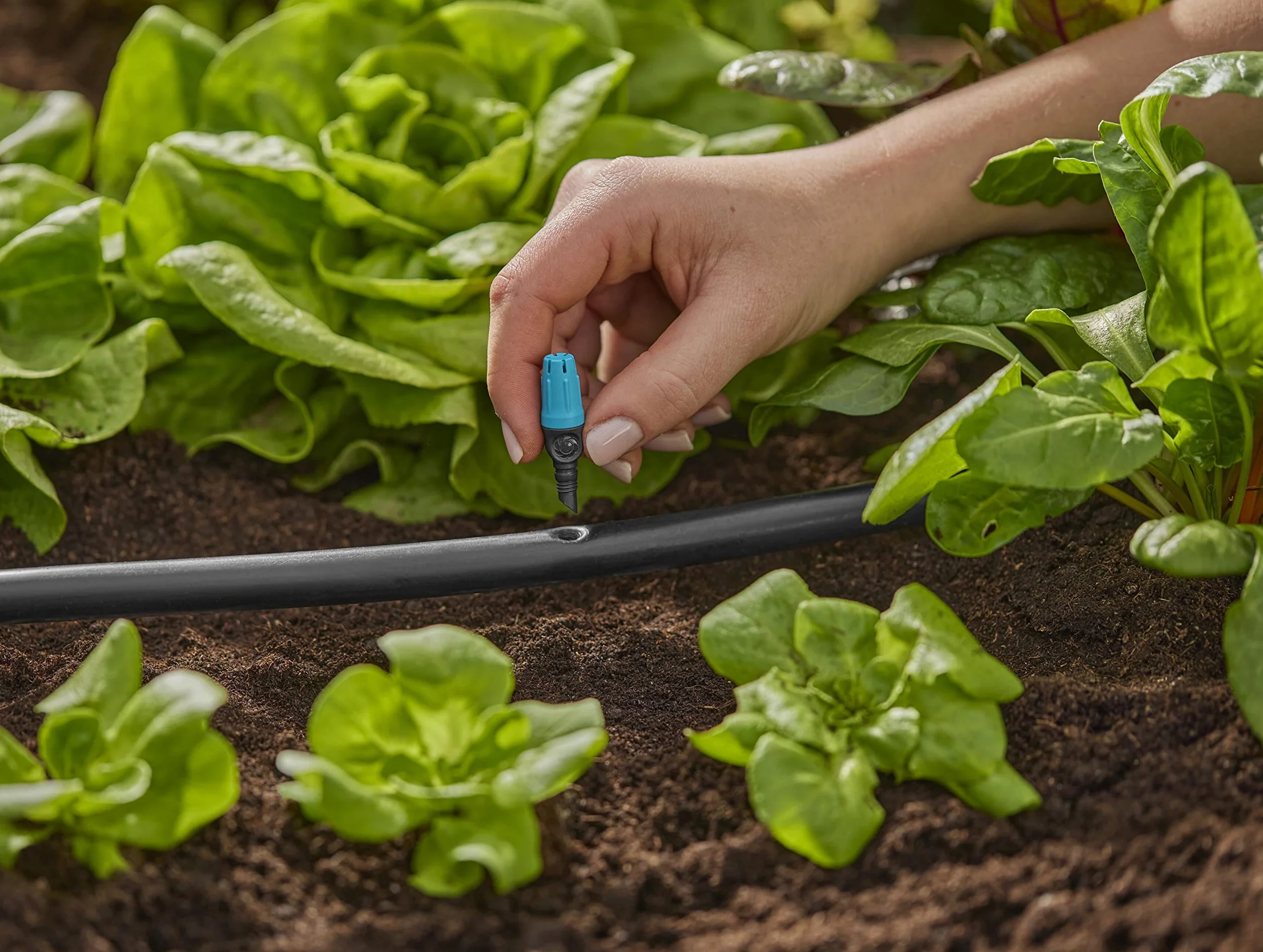 Gardena system Micro-Drip dysza małopowierzchniowa: Dysza rozpylająca do aut. systemu nawadniania do małych powierzchni do śr. 40 cm, proste połączenie z rurą instal. 13 mm (13306-20)
