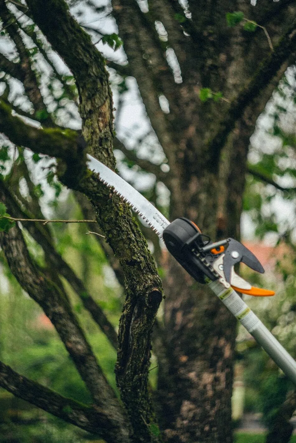 Fiskars Powergear Piła Ręczna do Gałęzi, Czarny, 46 cm