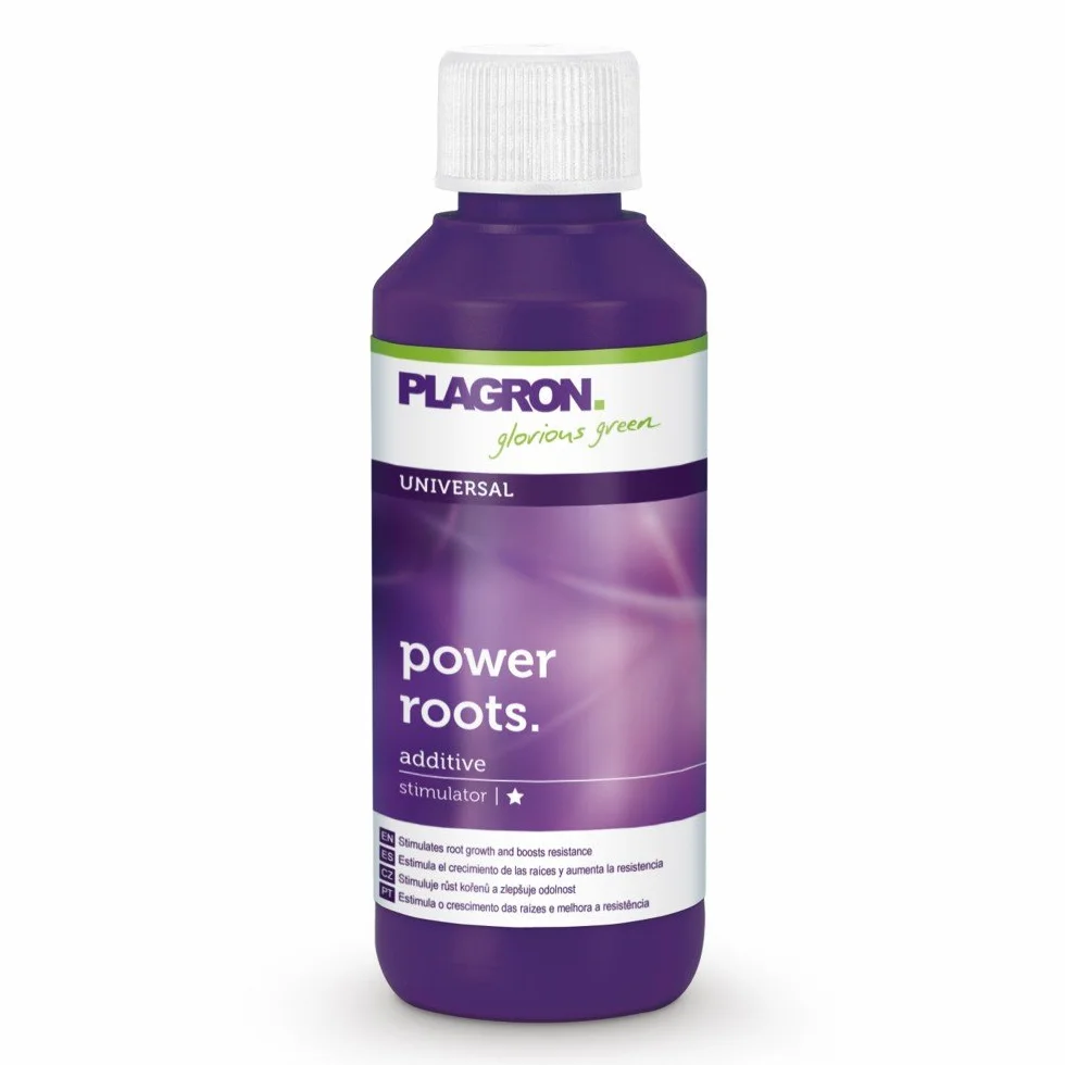 Plagron Power Roots 100 ml