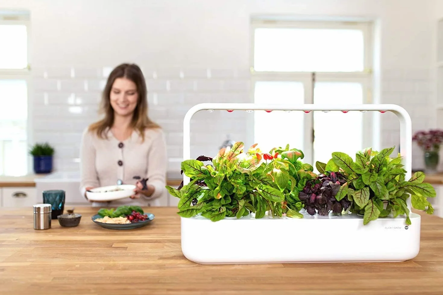Click & Grow Experimental, zestaw 3 doniczek do inteligentnego ogrodu ziołowego
