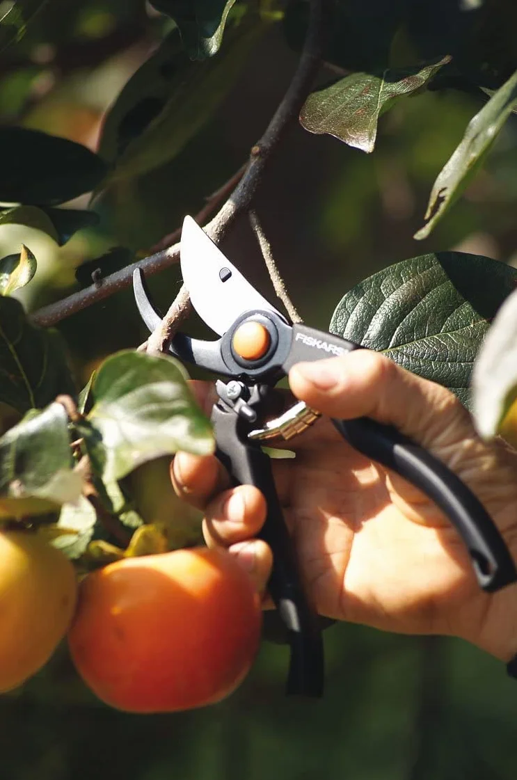 Fiskars Xseries Sekator Czarny 23 x 7 x 2 cm