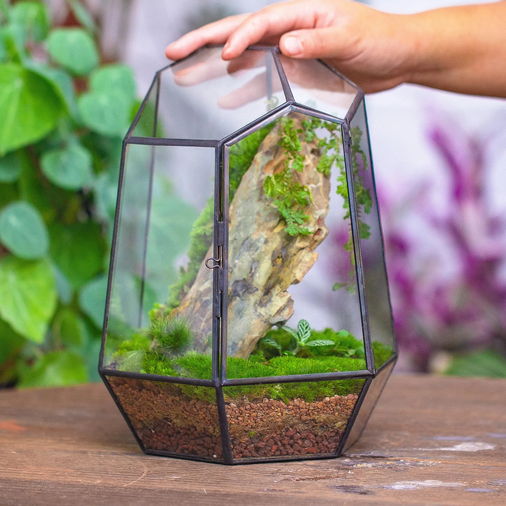 NCYP Zamknięte geometryczne szklane terrarium z drzwiami - 20 x 17,5 x 25 cm czarna doniczka z nieregularnym szkłem - nowoczesna doniczka na sukulenty kaktusy - dekoracja ogrodu domowego (rośliny nie