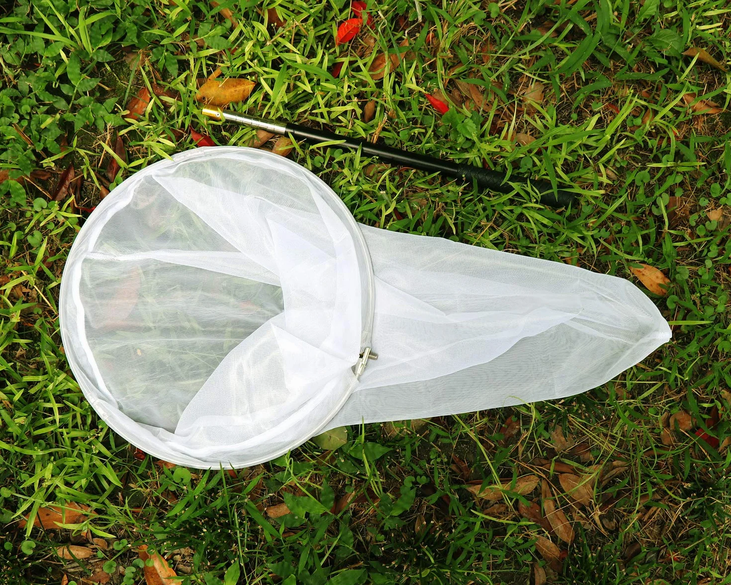 RESTCLOUD Profesjonalna siatka na owady i motyle 36 cm, teleskopowa 150-180 cm, stal nierdzewna