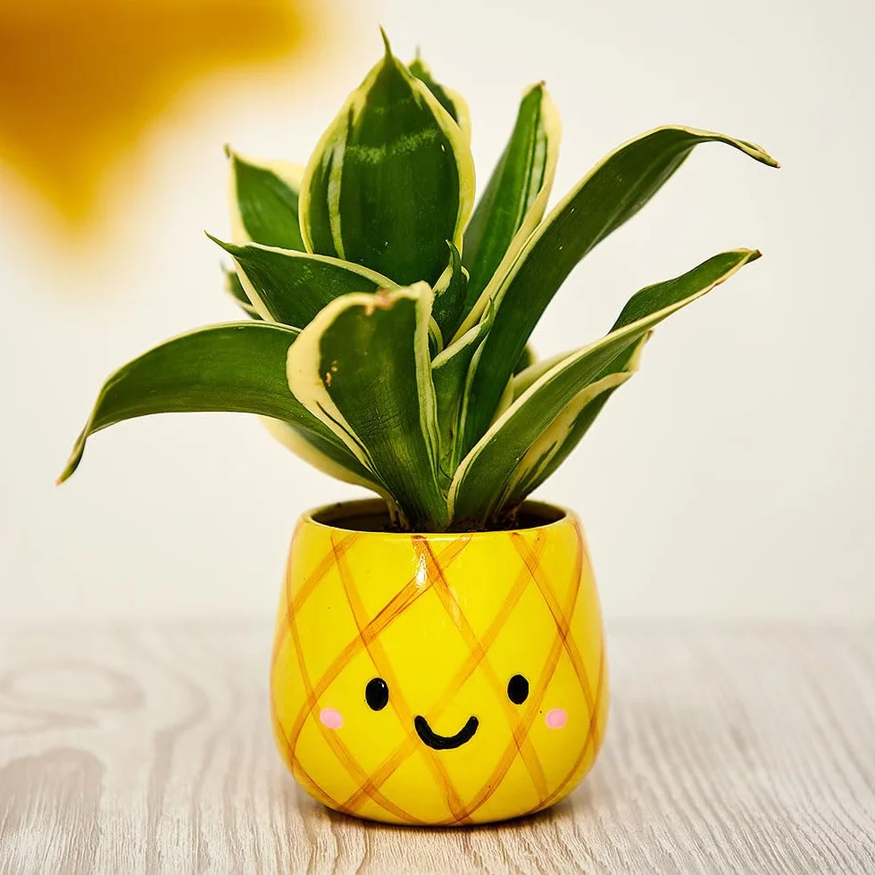 Baker Ross WA155 Ceramiczne doniczki Grass Head – zestaw 3 sztuk, ceramiczne doniczki do dekoracji i uprawy roślin