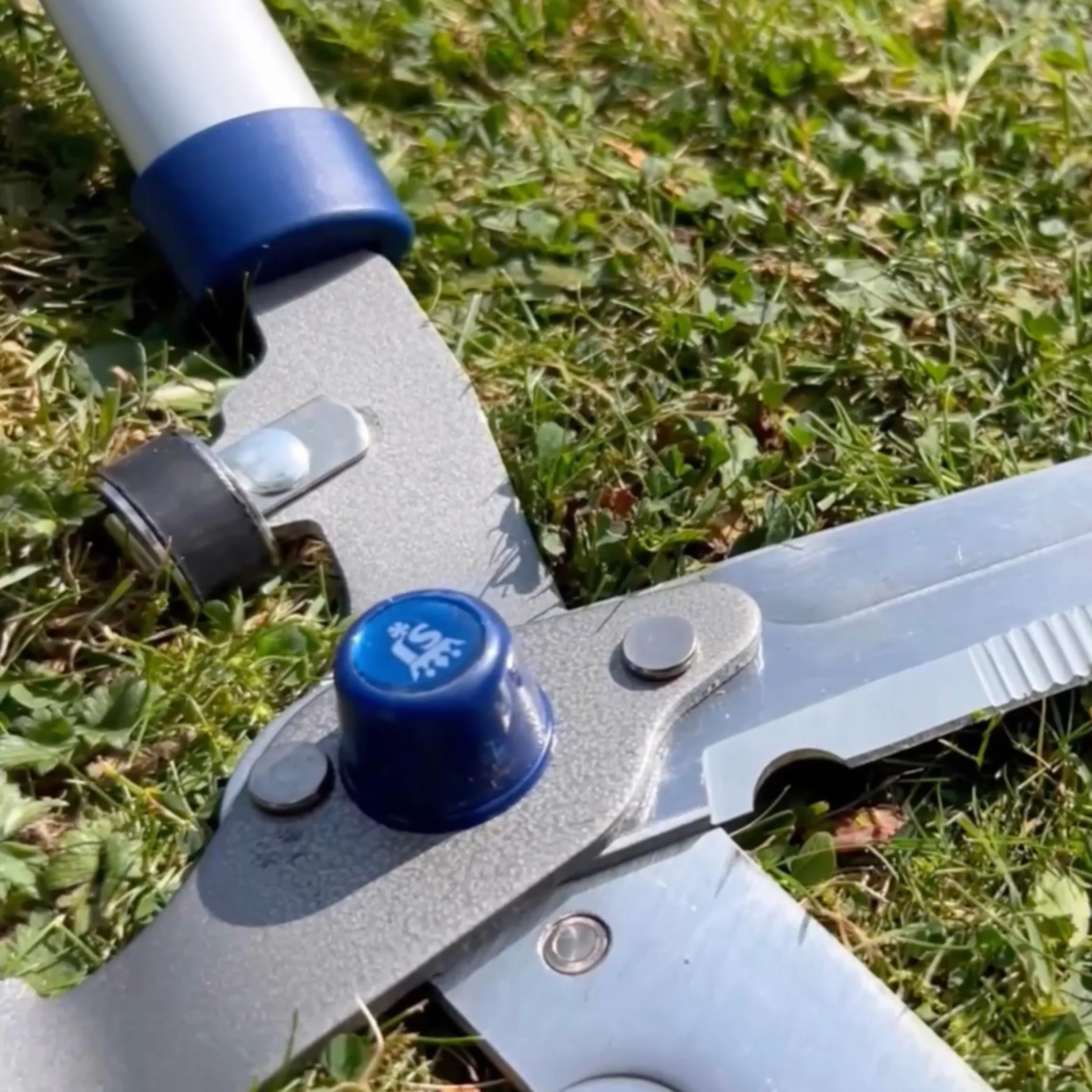 Spear & Jackson 8110RS Razorsharp Nożyce z nacięciem do żywopłotu