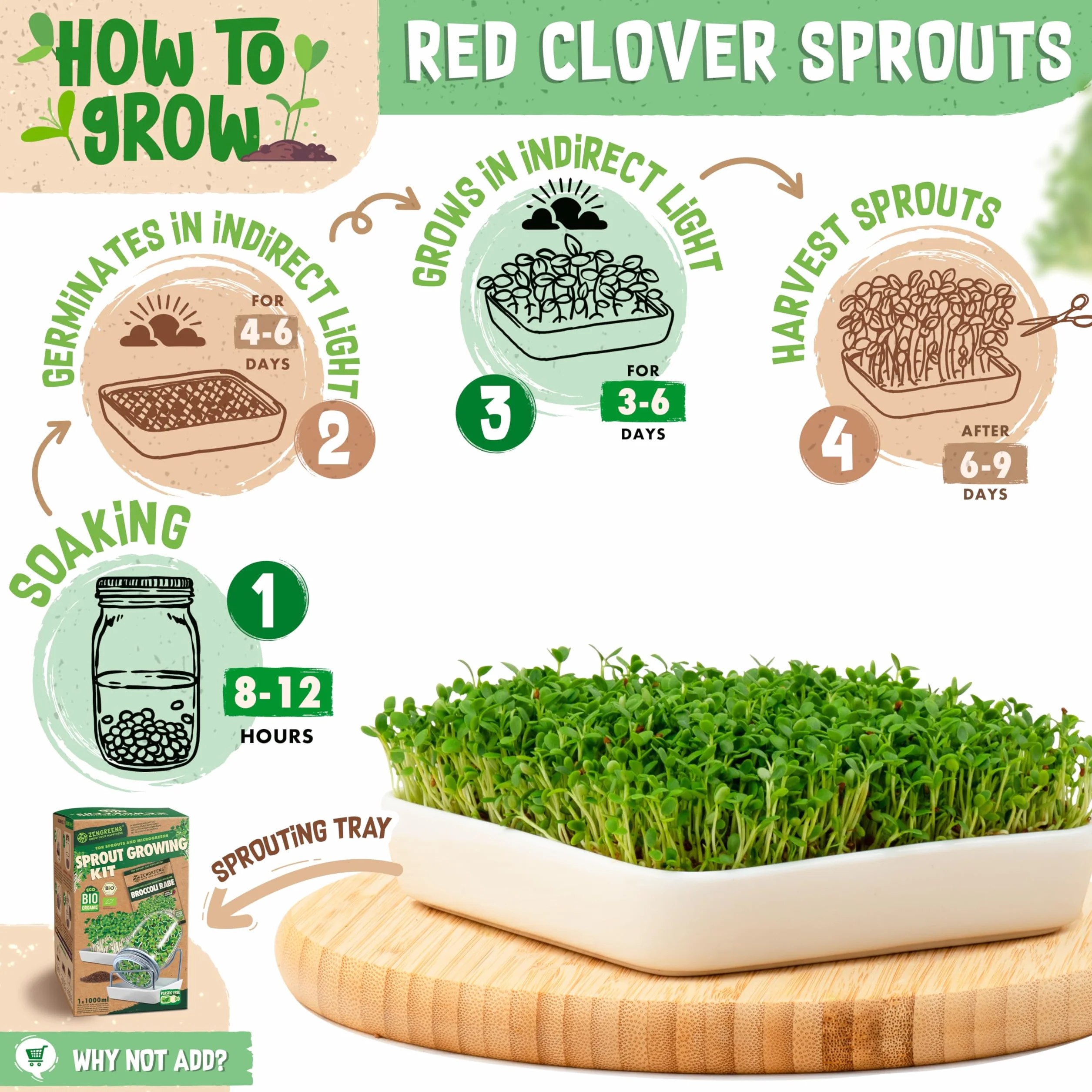 ZenGreens® - Organiczne nasiona koniczyny czerwonej - Wybierz pomiędzy 10, 200 g i 500 - nasiona koniczyny czerwonej o zdolności kiełkowania ponad 97% - nasiona koniczyny czerwonej kiełki
