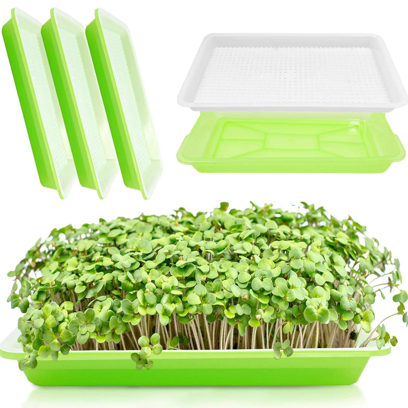 Miska do uprawy rzeżuchy, misa na kiełki, mikrogreens, miska na kiełki, misa na kiełki, Microgreen