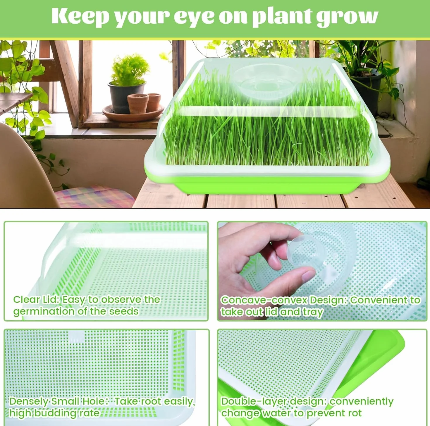 Tace do kiełkowania nasion z pokrywką 32 cm x 26 cm duża pojemność bez BPA zdrowy propagator hydroponiczny 4
