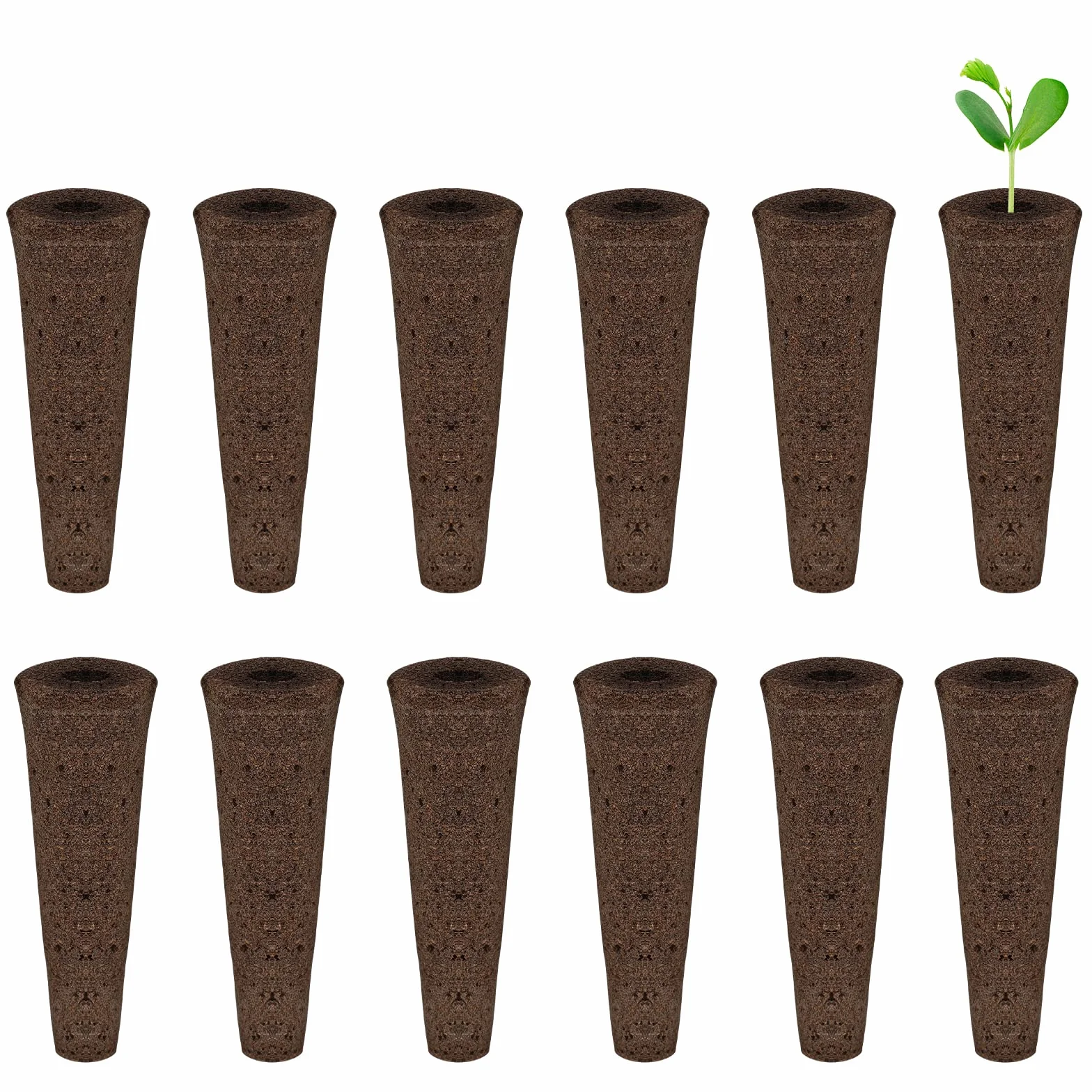KINBOM 12 Szt. Gabki do Uprawy Hydroponicznej, Straki Nasienne do Sadzenia Gabka do Uprawy Nasion Seed Pods Kit do Uzytku w Pomieszczeniach Hydroponiczny System Uprawy (Dlugosc 5,5cm)