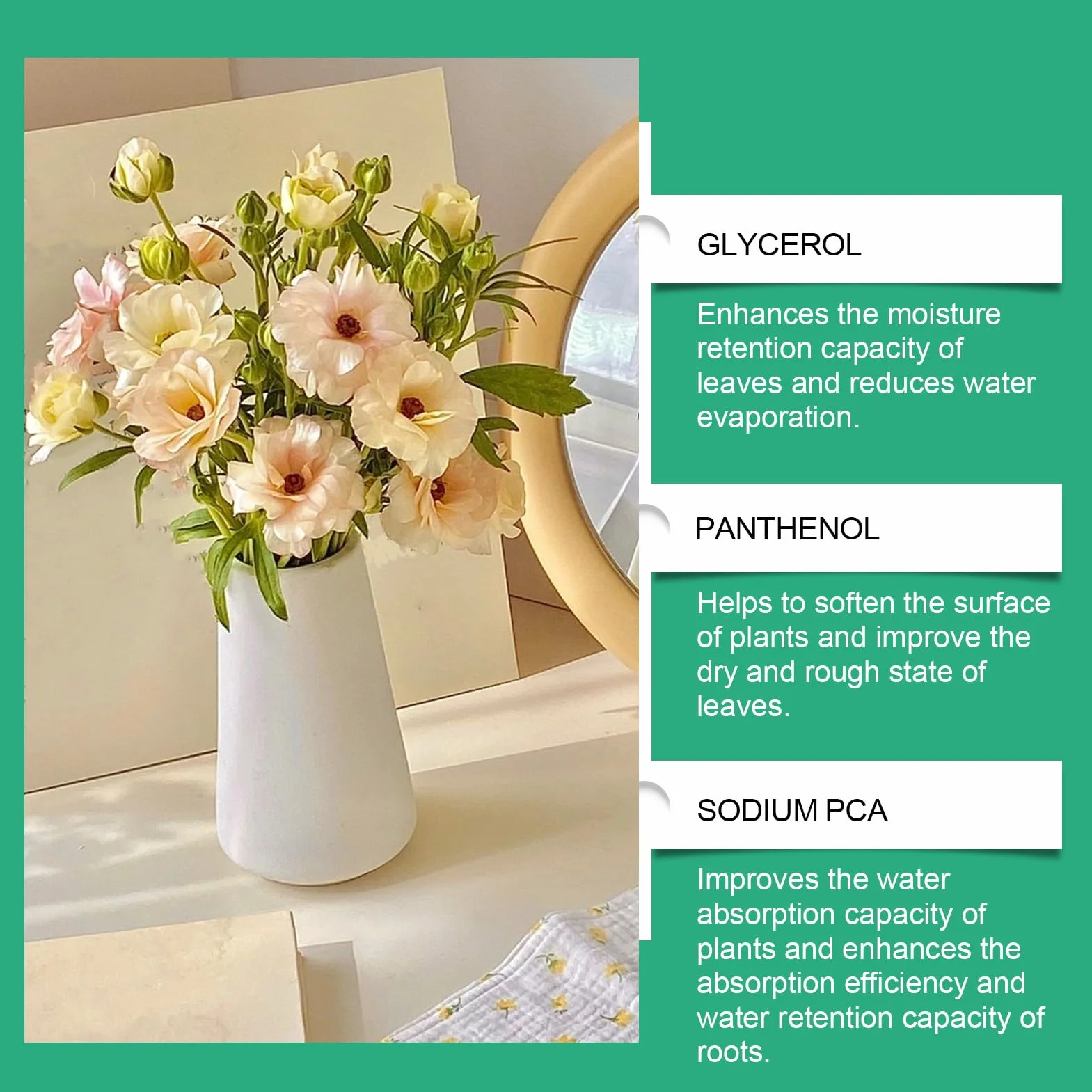 Pokarm Dla Kwiatów Ciêtych | 100ml Płynny Nawóz - Akcesoria Ogrodowe Do Wzmacniania Wzrostu Roślin Begonia Trawa Ogórki Pelargonia Kwiaty Pomidor Storczyk Hortensja Kwitnienie