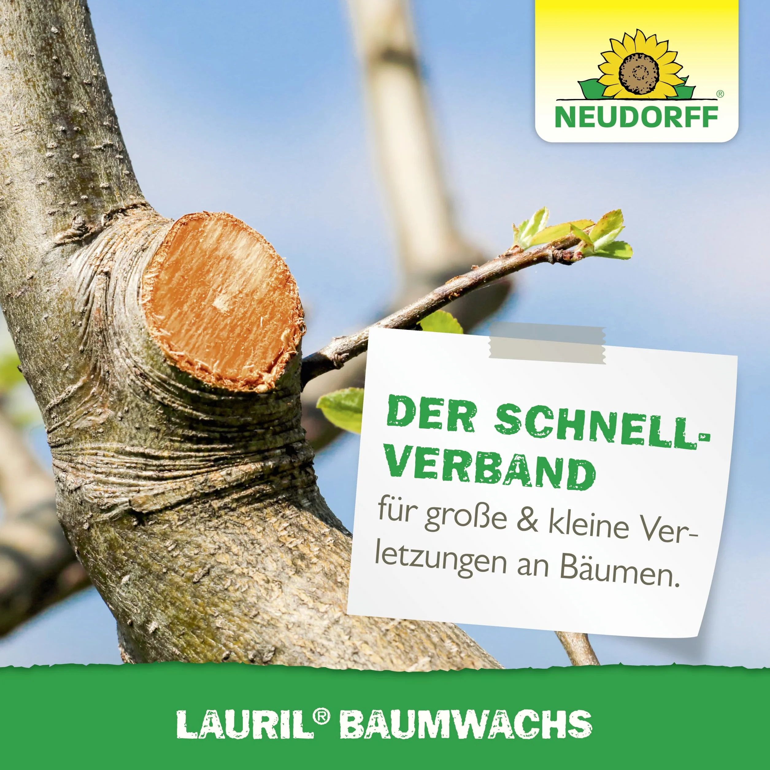 Neudorff 801 Lauril wosk drzewny, 250 g
