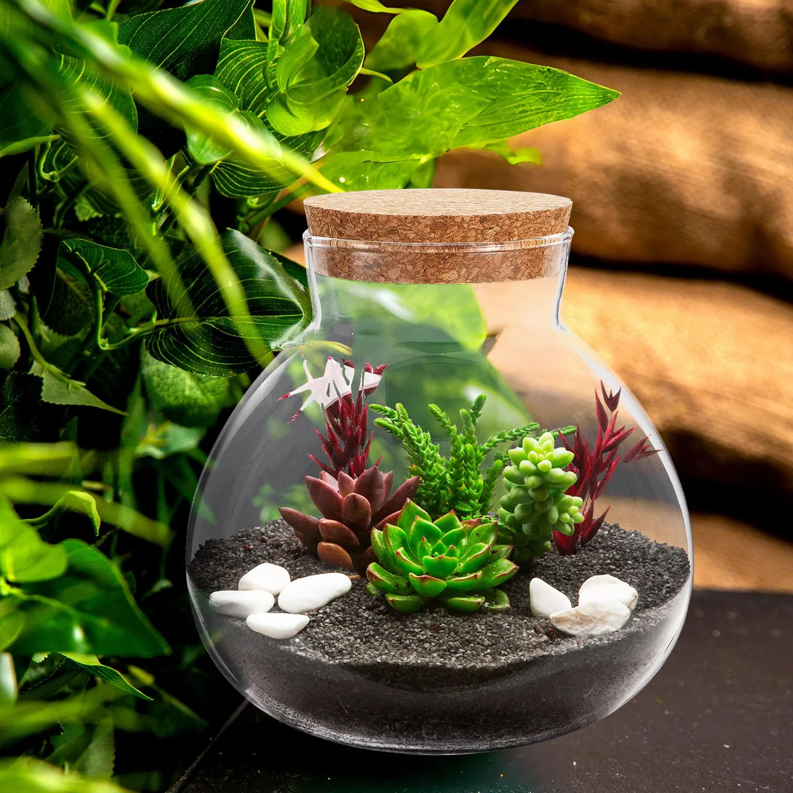 Szklane Terrarium Butelka z Korkiem Okrągły Słoik Do Miniaturowych Roślin Mechowych Dekoracji Domowej