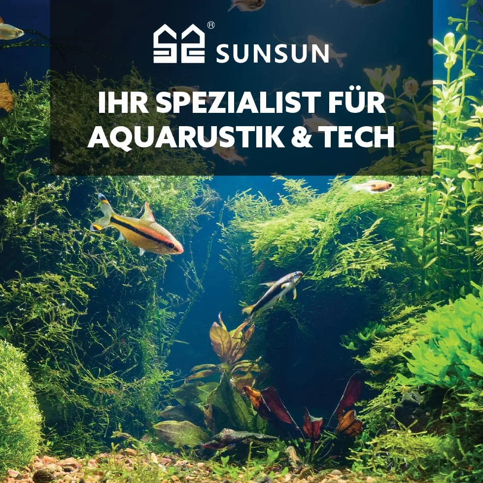 SunSun pompa basenowa 220W 5000l/h z wyłącznikiem pływakowym