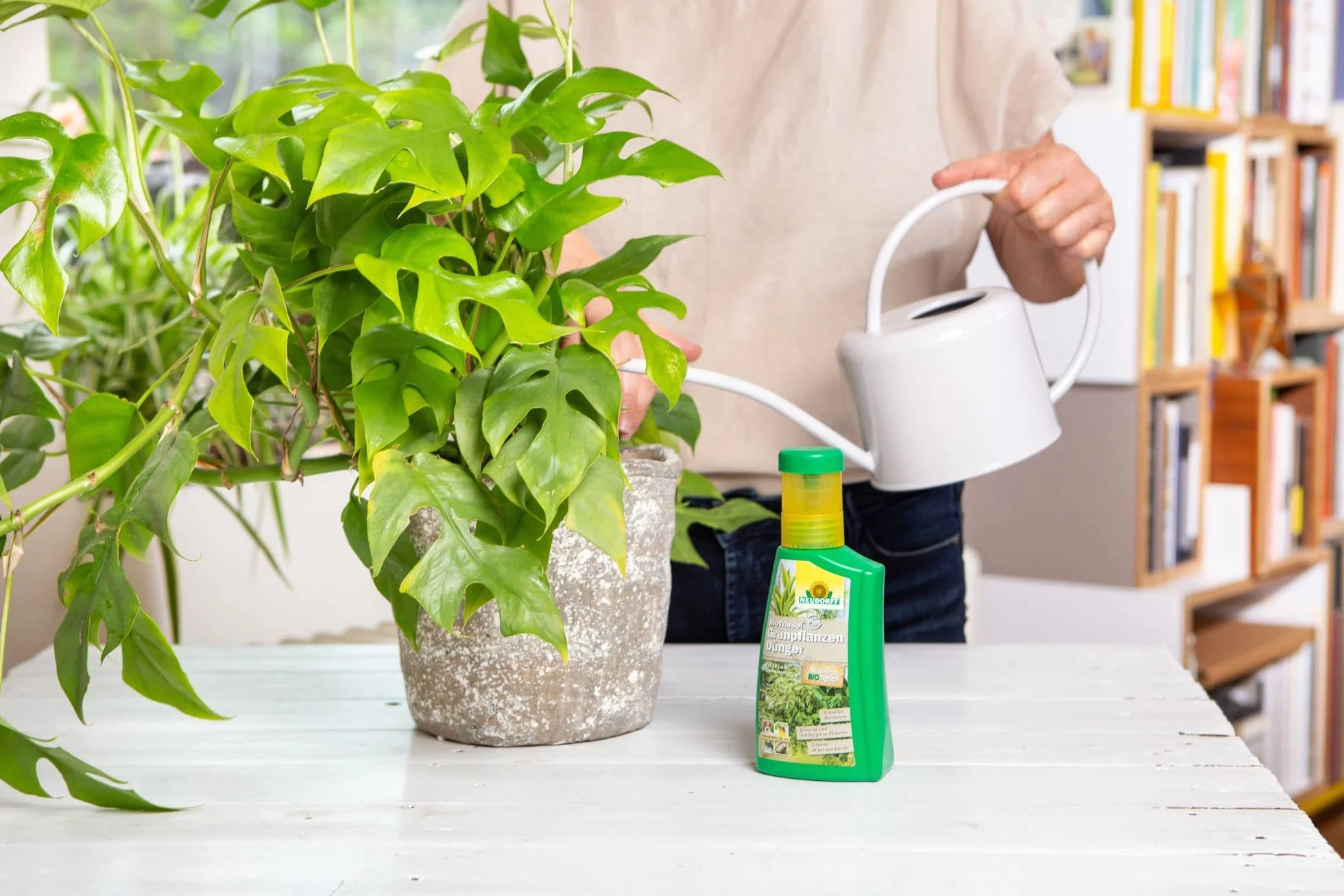 Neudorff BioTrissol nawóz do roślin zielonych zapewnia szybki wzrost, zapewnia zdrowe i mocne rośliny zielone, 250 ml