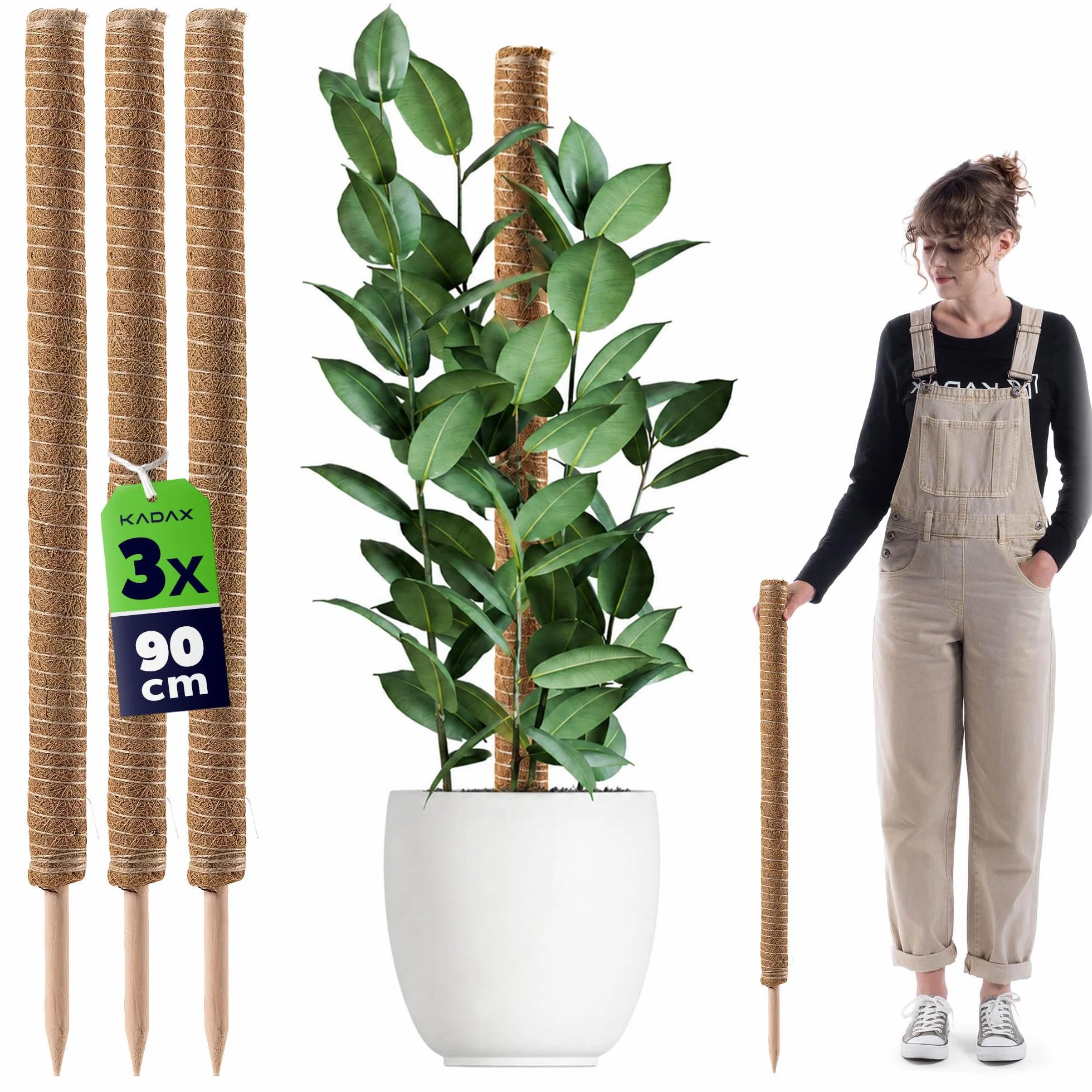KADAX Monstera Podpora na rośliny pnące – 3-częściowy zestaw prętów z włókna kokosowego (90 cm), pręt kokosowy i pręt do mchu do roślin pokojowych, pomoc do wspinaczki i podpórki dla roślin, do użytku