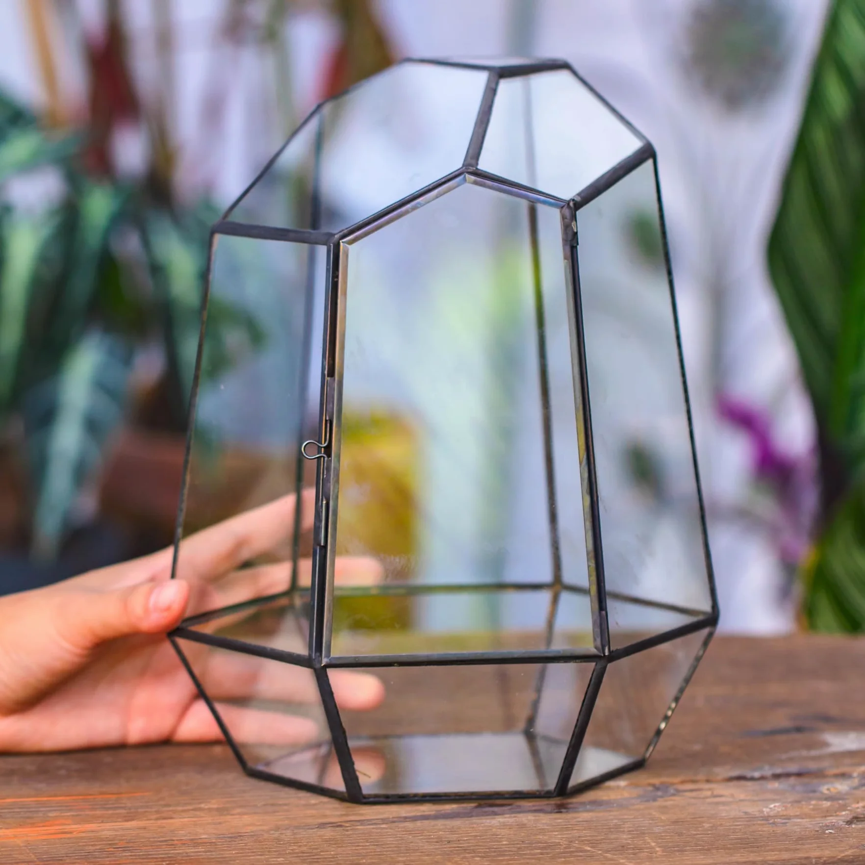 NCYP Zamknięte geometryczne szklane terrarium z drzwiami - 20 x 17,5 x 25 cm czarna doniczka z nieregularnym szkłem - nowoczesna doniczka na sukulenty kaktusy - dekoracja ogrodu domowego (rośliny nie