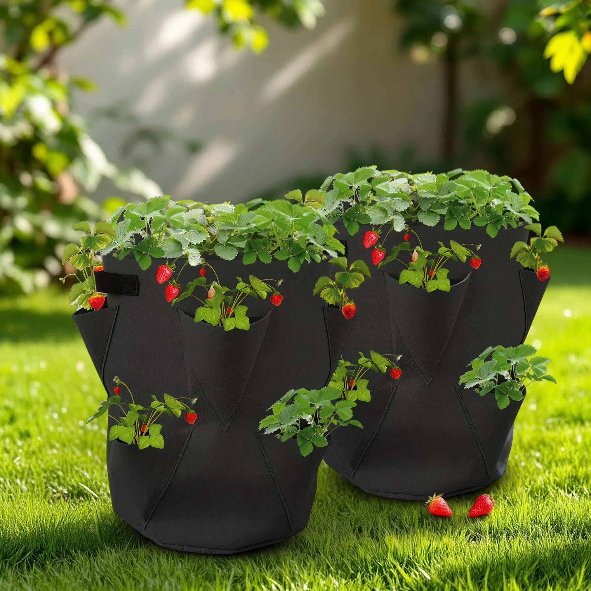 Spetebo Worki na rośliny truskawkowe, zestaw 2 szt. z filcu - 45 x 35 cm - worki na truskawki i małe warzywa - do ogrodu, na balkon, worek na rośliny, worek na truskawki, czosnek, cebulę, zioła
