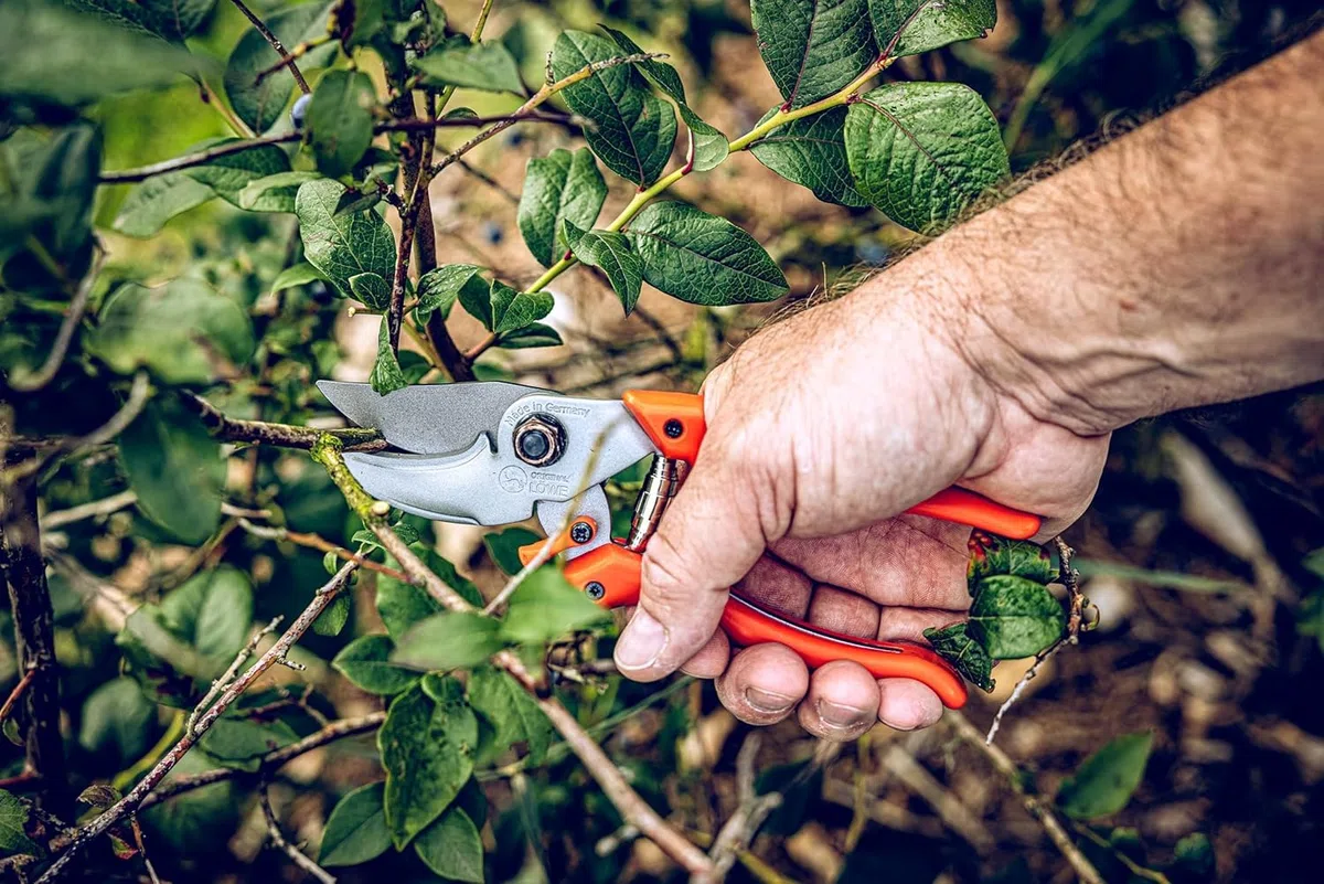 Original LÖWE 9 Bypass nożyce ogrodowe 9.104 z bezstopniową regulacją szerokości uchwytu – ostre ostrza ze stali węglowej z powłoką zapobiegającą przywieraniu, idealne do cięcia roślin, róż, kwiatów
