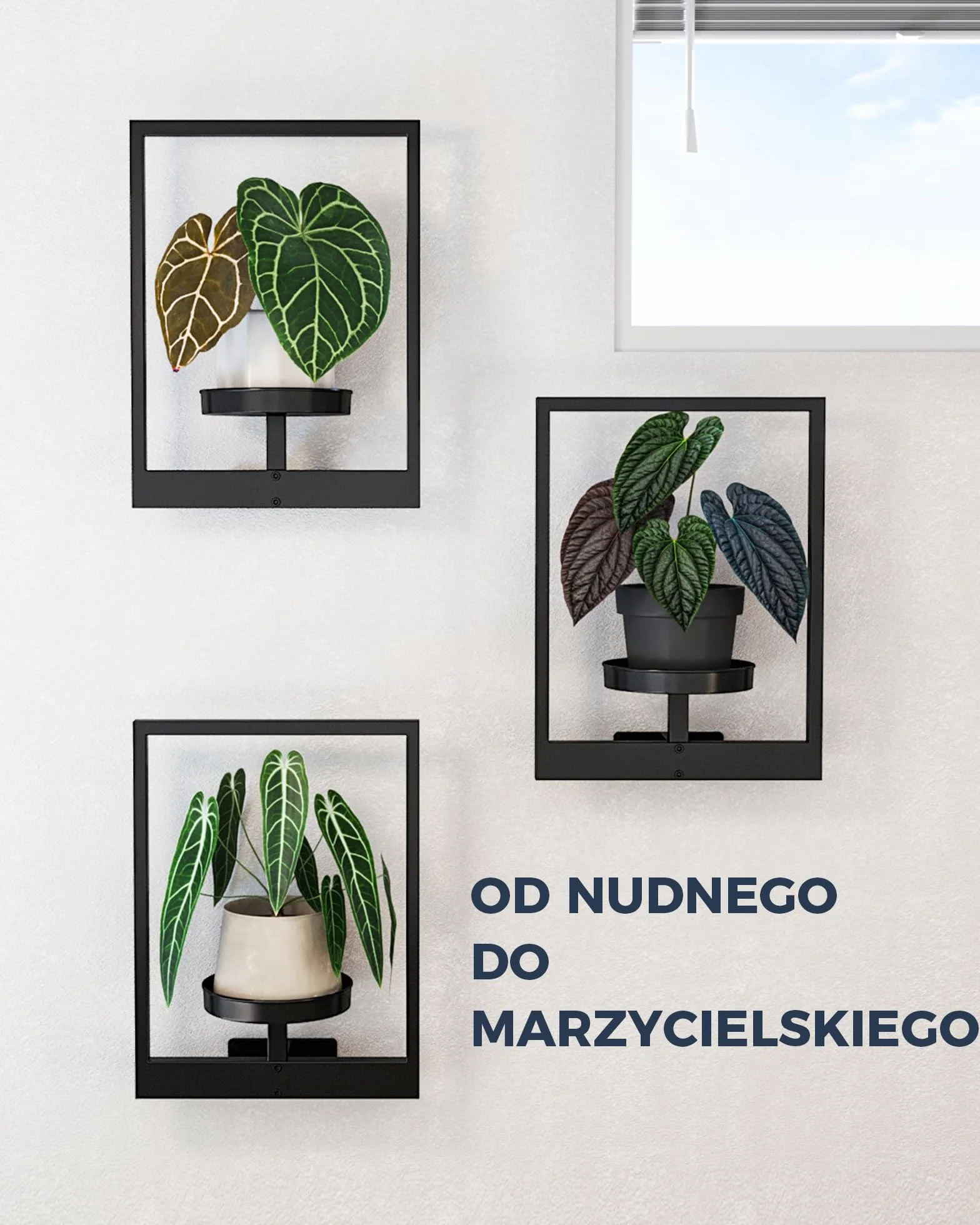 Bamworld Wiszące Doniczki Ścienne 3 szt Osłonki na Rośliny