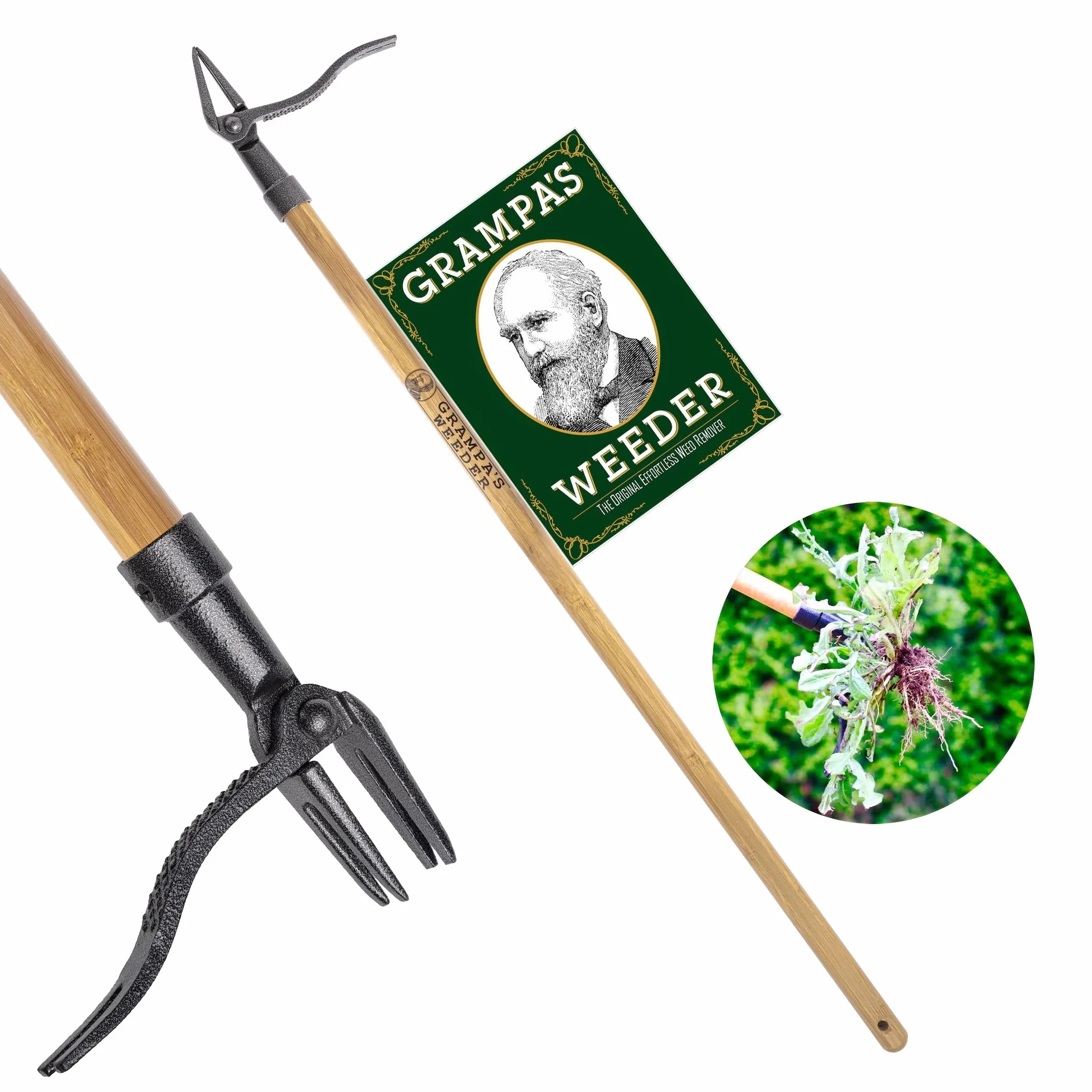 Grampa's Weeder - Oryginalne narzędzie do wyciągania chwastów z długim uchwytem - wykonane z prawdziwego bambusa i 4-pazurowej stalowej głowicy - łatwe usuwanie chwastów bez zginania, ciągnięcia lub