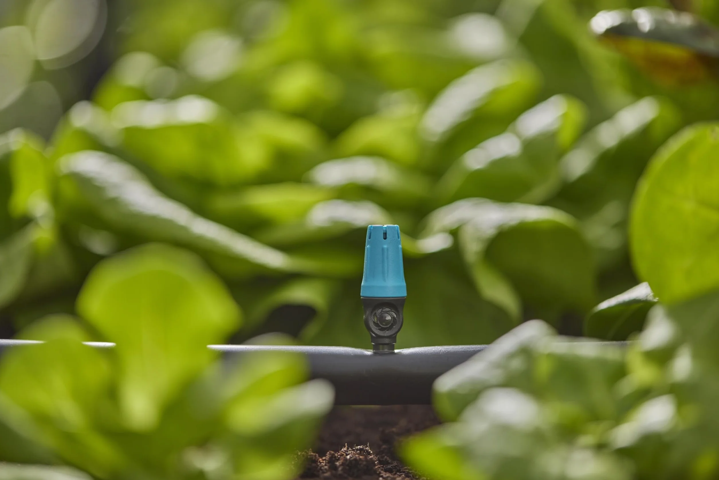 Gardena system Micro-Drip dysza małopowierzchniowa: Dysza rozpylająca do aut. systemu nawadniania do małych powierzchni do śr. 40 cm, proste połączenie z rurą instal. 13 mm (13306-20)