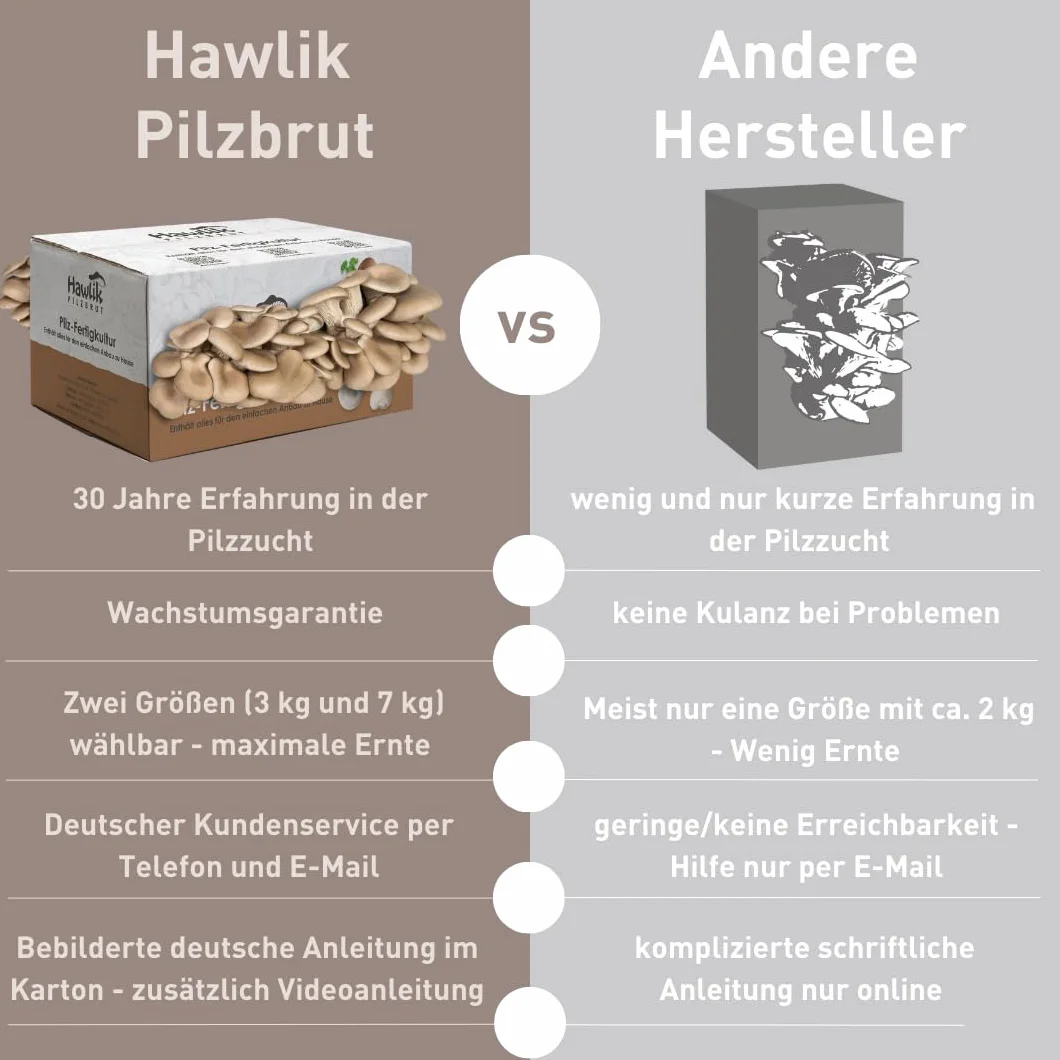 Hawlik Pilzbrut zestaw do hodowli boczniaków 1,5 kg