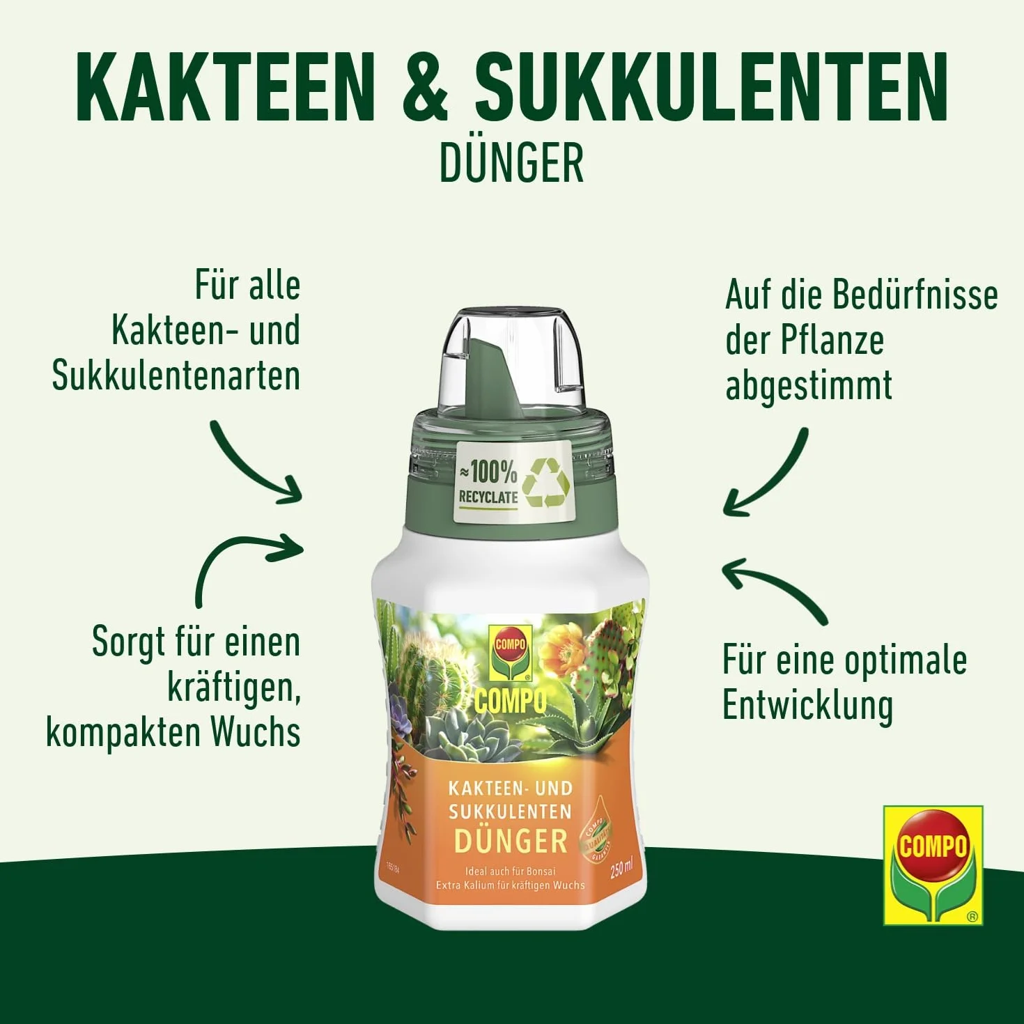 Compo 14064 Nawóz do Kaktusów i Sukulentów, 250 ml