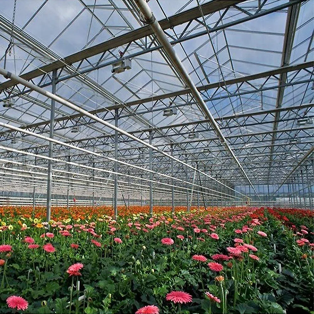 NAIZY 14 x poliwęglanowe płyty komorowe z komorami powietrznymi, podwójne płyty komorowe odporne na działanie promieni UV, do szklarni, ogrodu, 4 mm, 10,25 m², przezroczyste