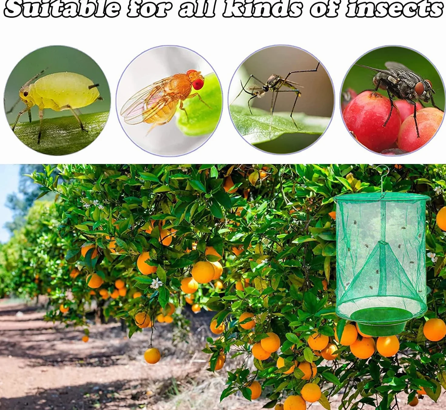 Halatool Ranch Green Cage Outdoors, 6-pakowa wisząca klatka wielokrotnego użytku Ranch Catcher do parków zewnętrznych, restauracji i gospodarstw rolnych