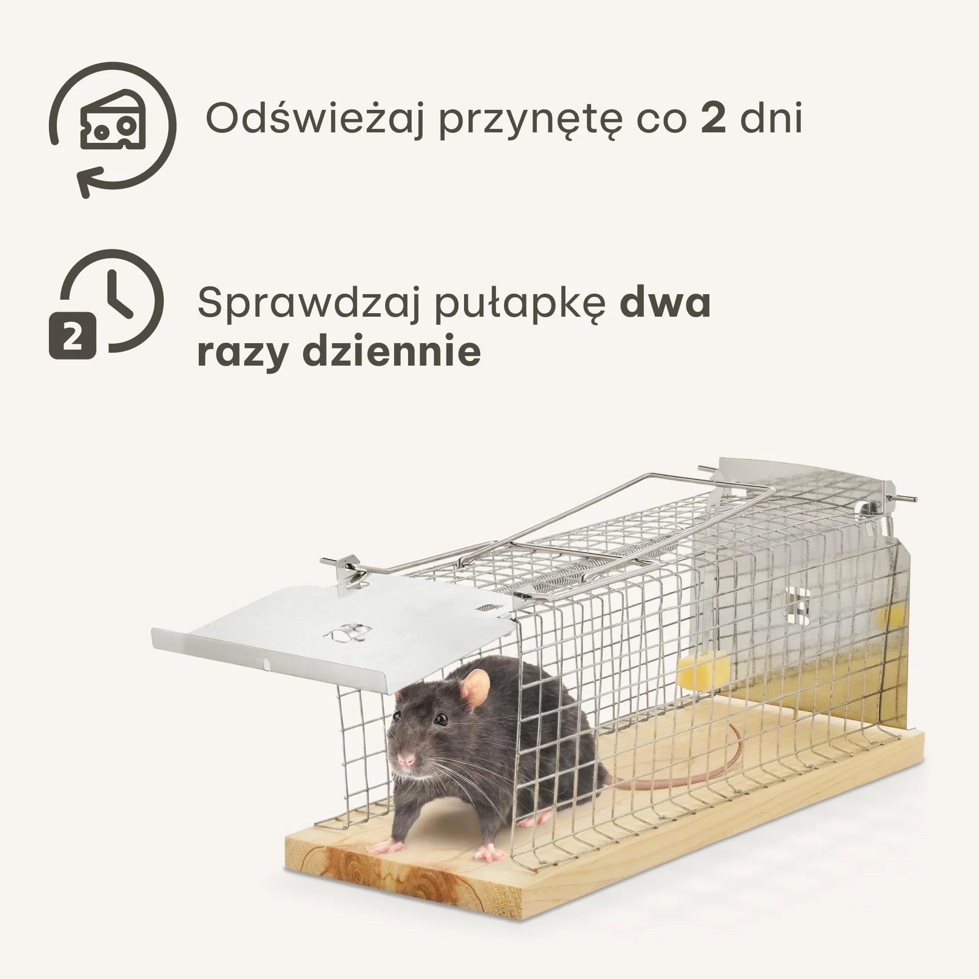 Pułapka Na Szczury Duża 30 cm Wielokrotnego Użytku