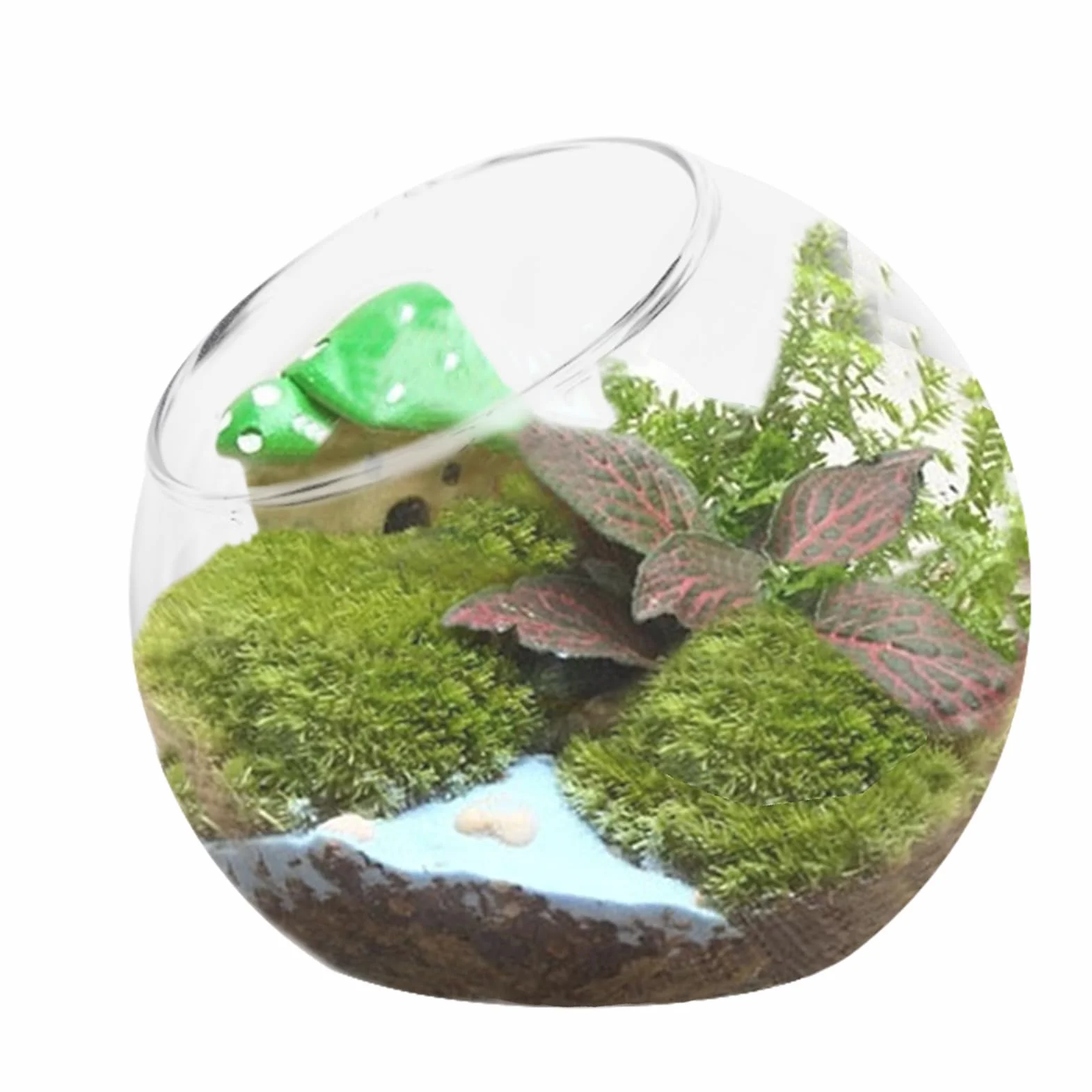 Uko?ne ci?te miski, szklany wazon doniczk?, dekoracyjny wazon z?ot? rybk?, przezroczyste terrarium, ryby, wazon w kszta?cie kuli, szklany wazon sto?owy w nowoczesnym wzornictwie