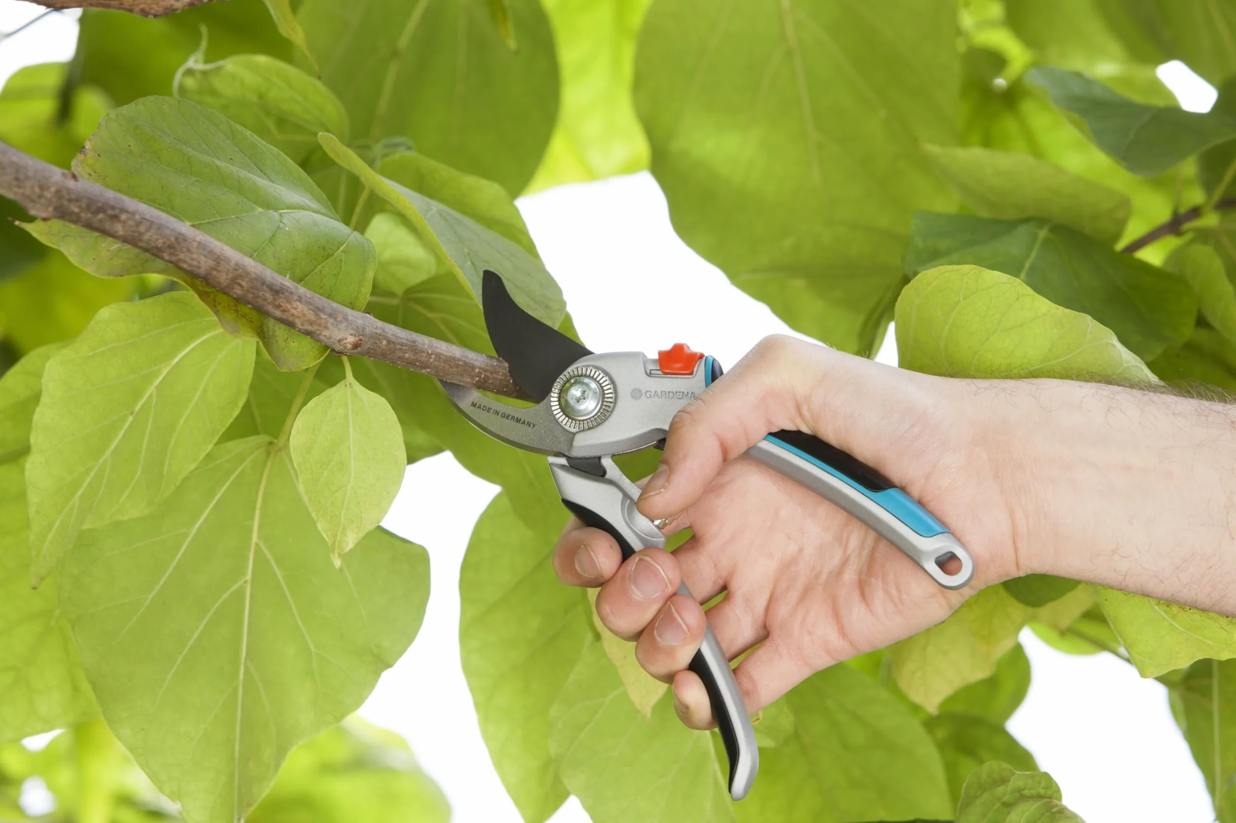 Gardena Sekator ogrodowy Alu B/L: delikatny dla roślin, dwuostrzowy, do cięcia pędów i gałęzi o średnicy do 25 mm, solidne rękojeści aluminiowe, wymienne ostrze, regulacja docisku ostrzy (8906-20)