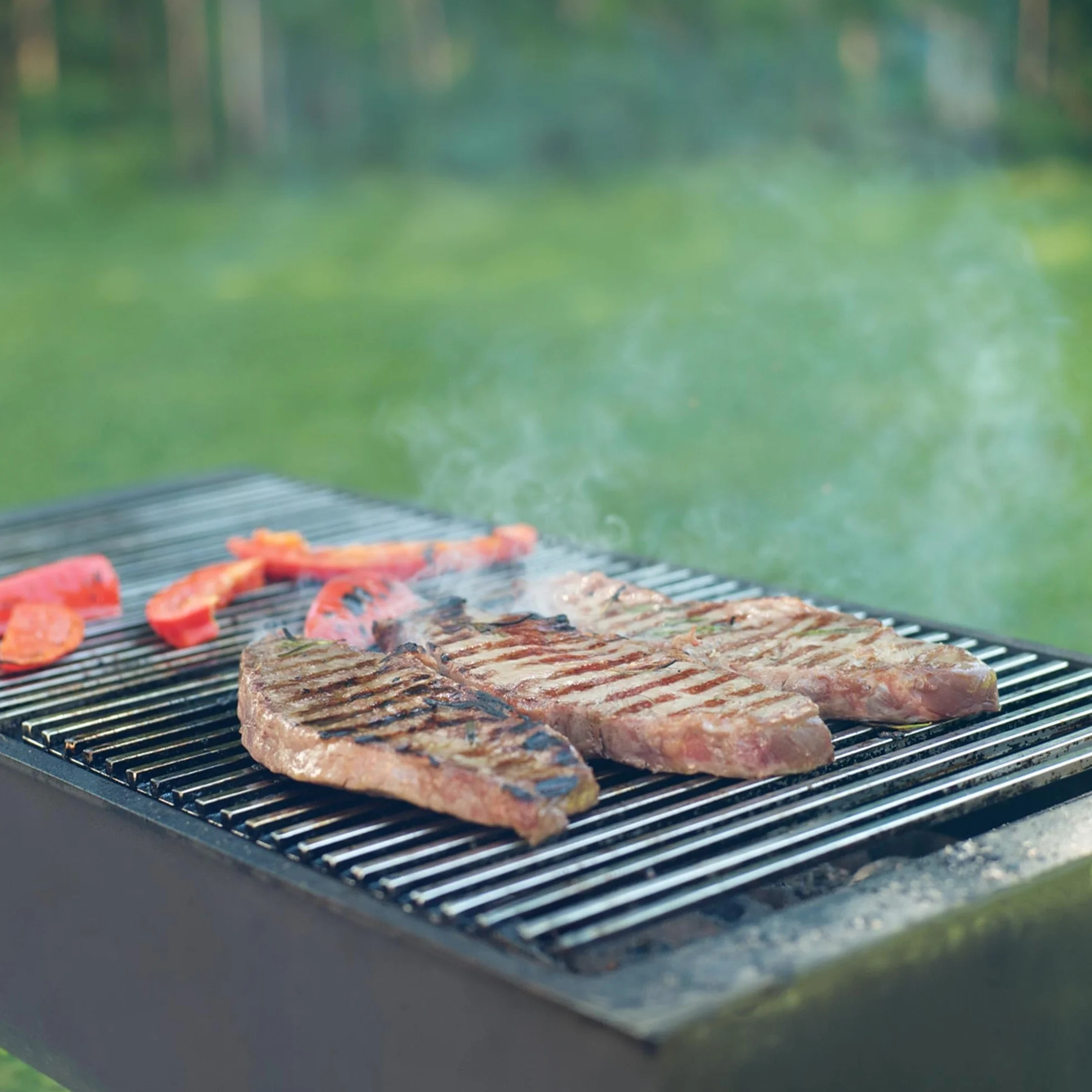 Buschbeck ECD Germany Prostokątny grill gazowy ze stali nierdzewnej 67 x 40 cm