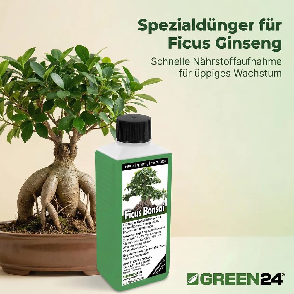 Nawóz do bonsai Ficus Ginseng retusa microcarpa, chińska figa, nawóz płynny