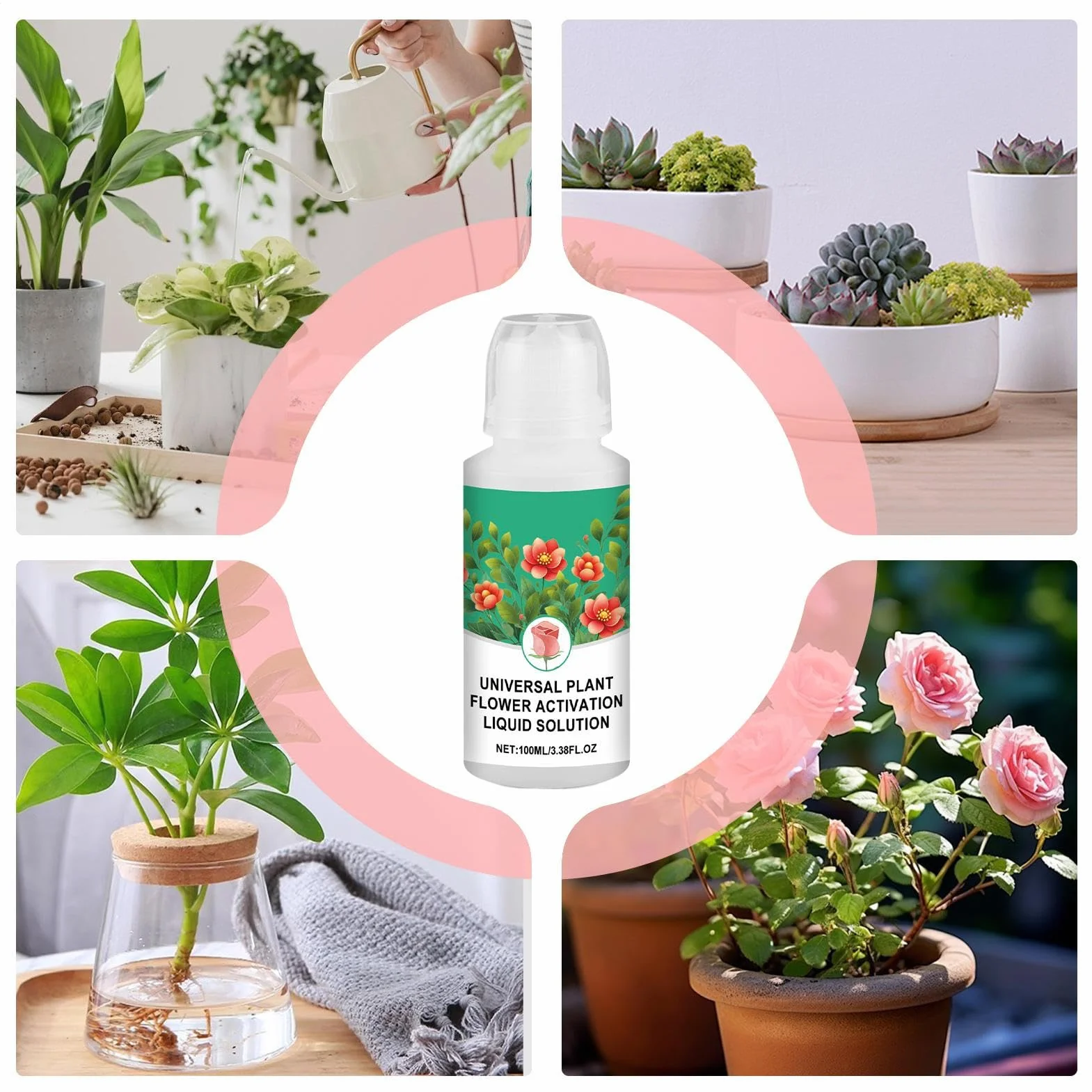 Pokarm Dla Kwiatów Ciêtych | 100ml Płynny Nawóz - Akcesoria Ogrodowe Do Wzmacniania Wzrostu Roślin Begonia Trawa Ogórki Pelargonia Kwiaty Pomidor Storczyk Hortensja Kwitnienie