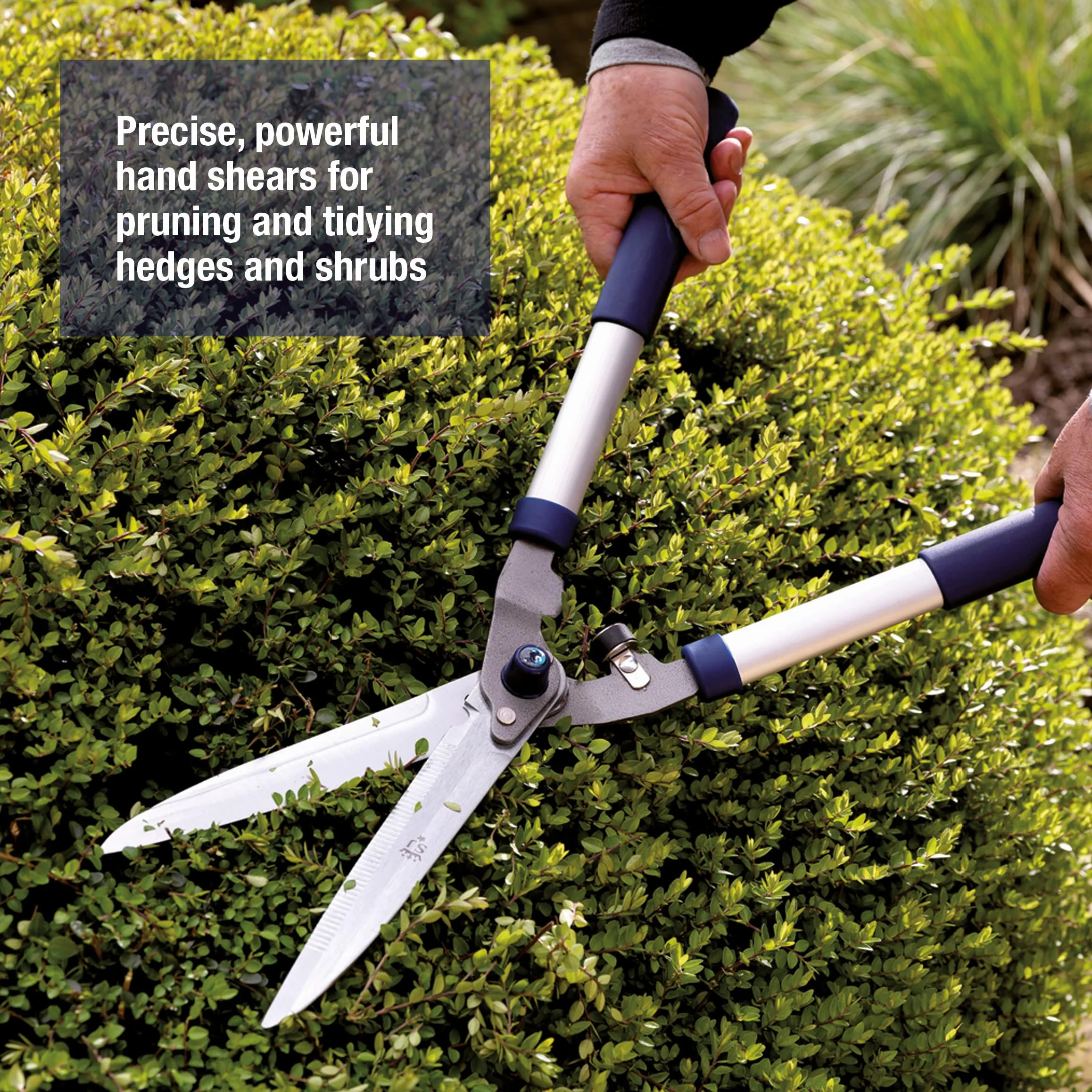 Spear & Jackson 8110RS Razorsharp Nożyce z nacięciem do żywopłotu