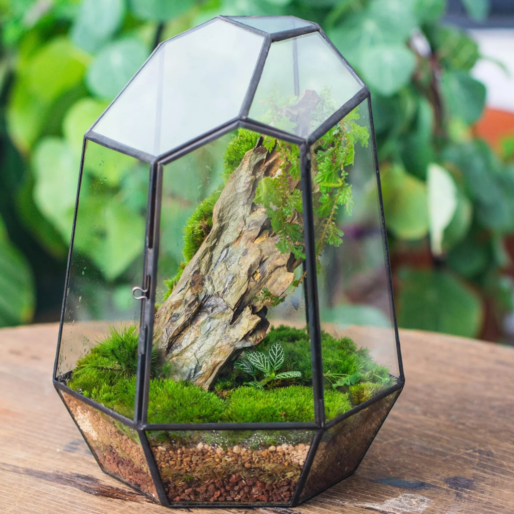 NCYP Zamknięte geometryczne szklane terrarium z drzwiami - 20 x 17,5 x 25 cm czarna doniczka z nieregularnym szkłem - nowoczesna doniczka na sukulenty kaktusy - dekoracja ogrodu domowego (rośliny nie
