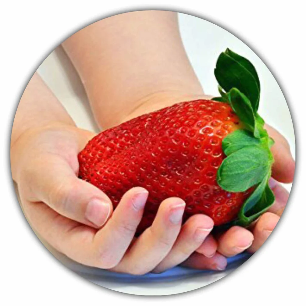 Fragaria Ananassa Truskawka olbrzymia 50 nasion