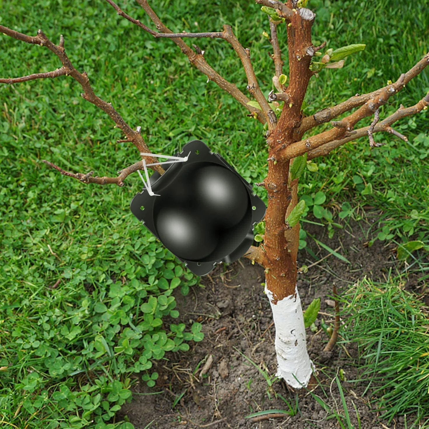 Pudełko na korzenie roślin, 15 sztuk, urządzenie do korzeni roślin, urządzenie wielokrotnego użytku, wysokociśnieniowa piłka do rozmnażania drzew, kwiatów, ogrodu, gleby, pudełko