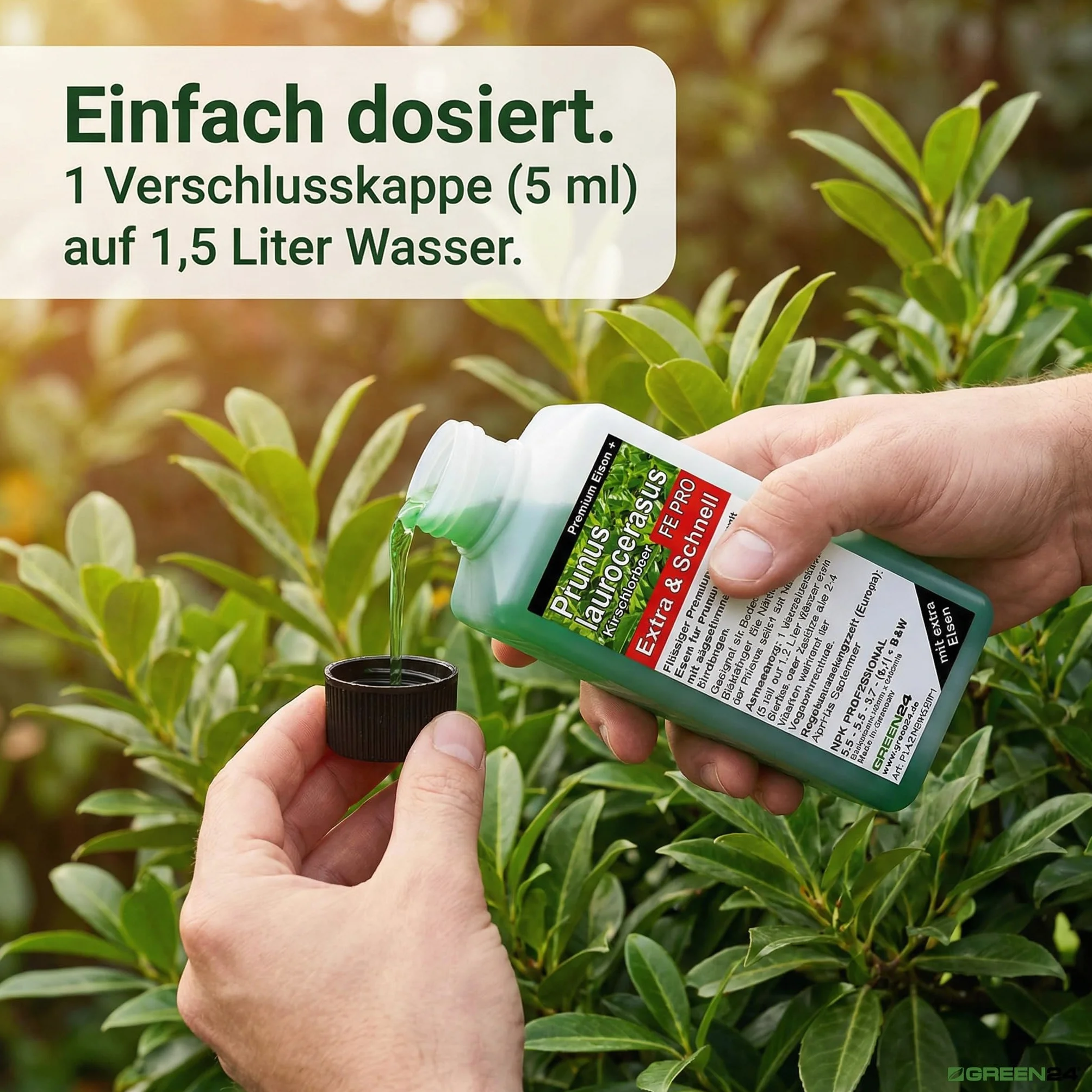 GREEN24 Nawóz laurowirowy FE PRO z żelazem Prunus laurocerasus NPK, nawóz płynny premium