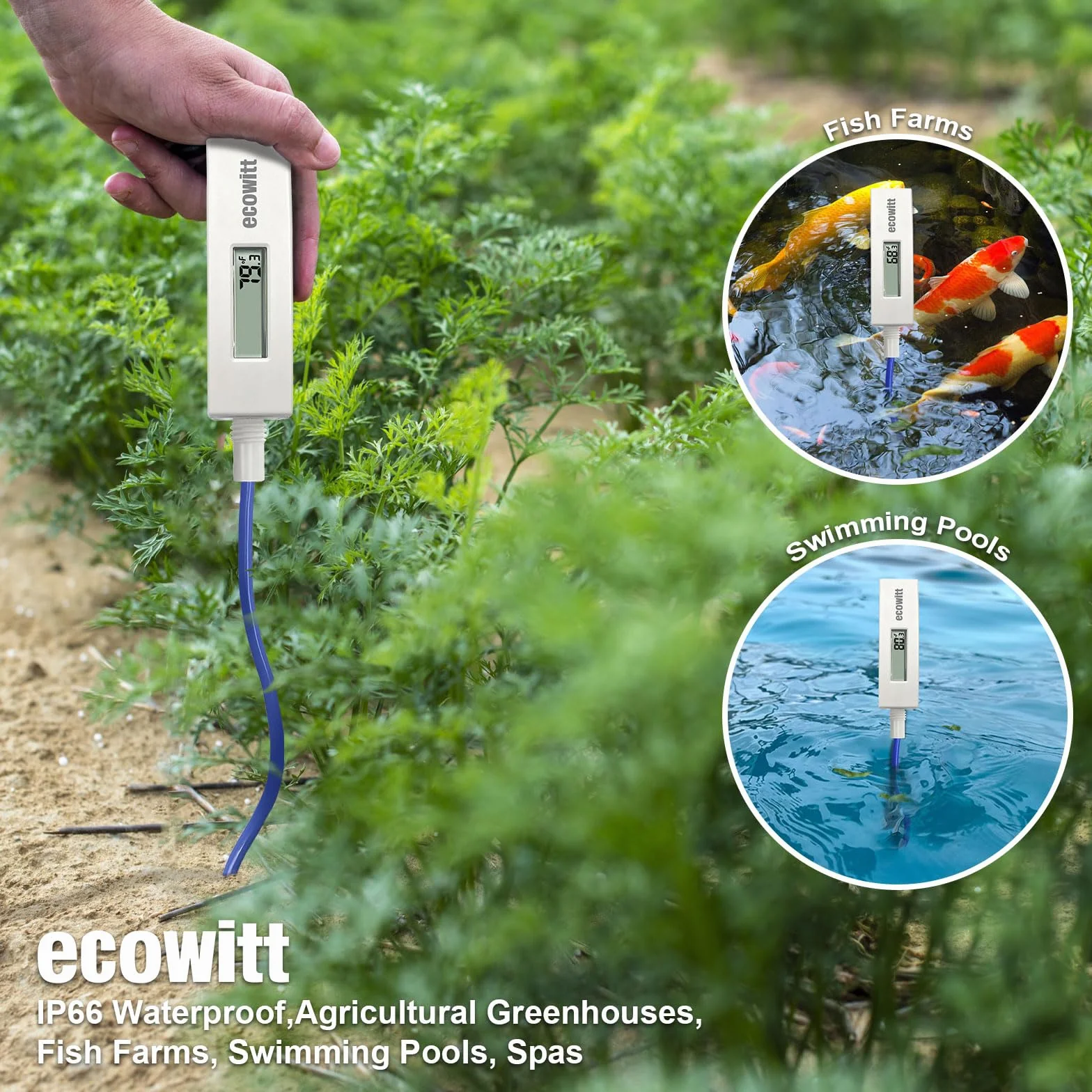 ECOWITT WN34D Domowy termometr basenowy, cyfrowy czujnik temperatury wody z wyświetlaczem LCD, wodoodporny, czujnik kablowy 3,28 stopy do basenów, wanien z hydromasażem
