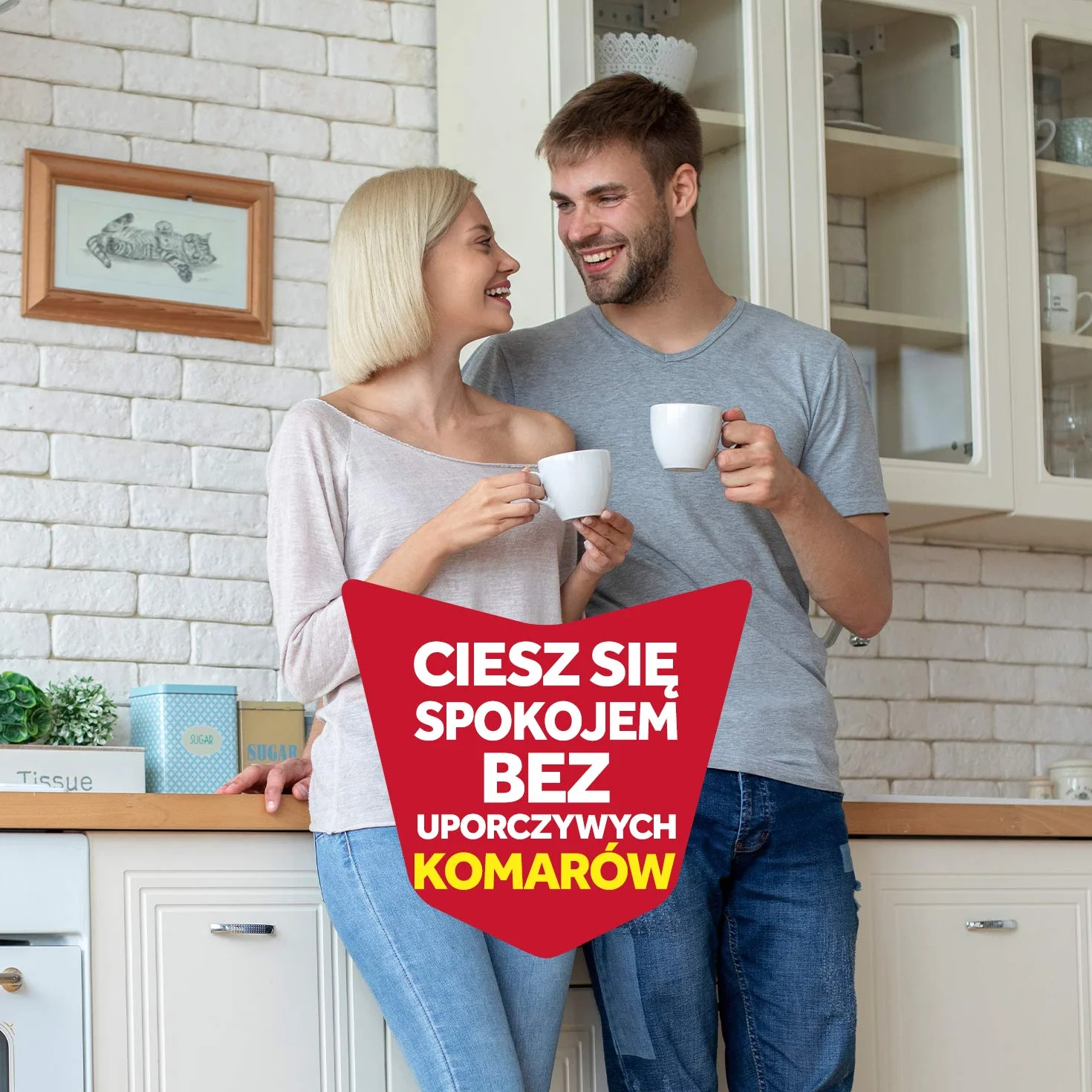 Raid Przeciw Komarom, Wkład z Płynem Owadobójczym, Bezzapachowy, 27 ml, 45 Nocy