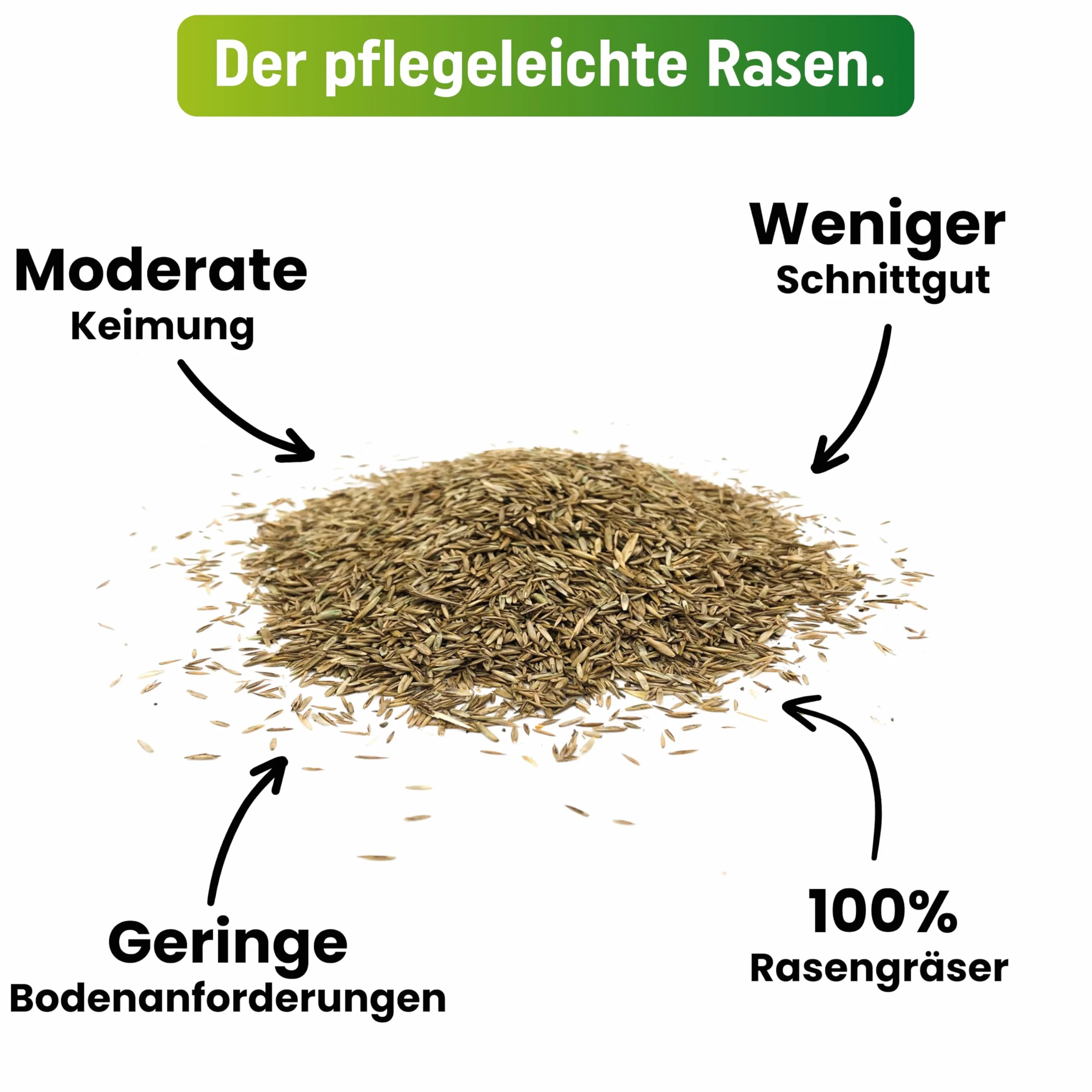 Greenyp Nasiona Trawy Super Trawnik Intensywnie Zielony 0,2 kg na 10 m²