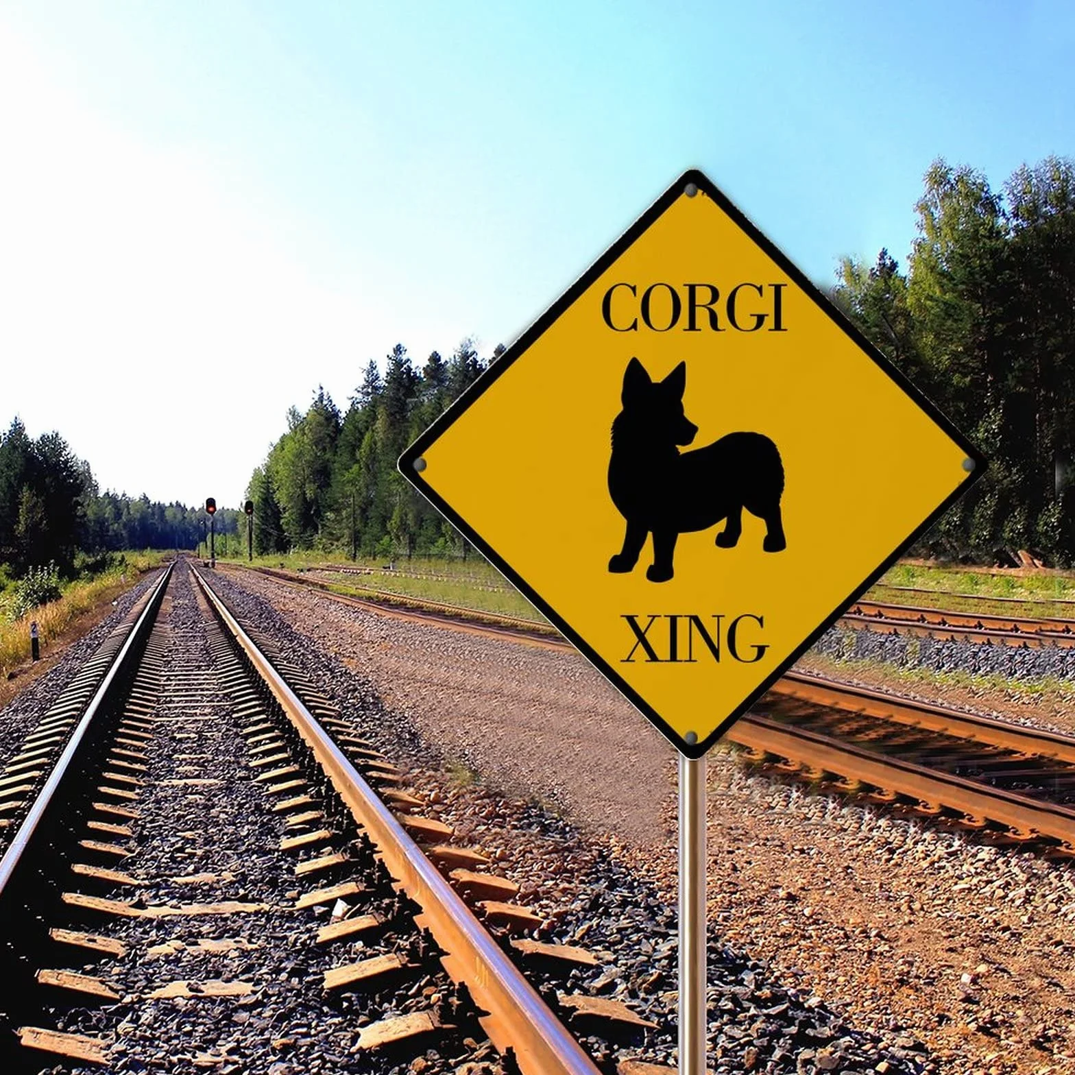 Corgi Xing ostrzeżenie metalowy znak koliber powitalny znak metalowy znak chroniony przed promieniowaniem UV odporny na blaknięcie metalowy aluminiowy znak do bramy domu ogrodu barów restauracji 30 x 30 cm