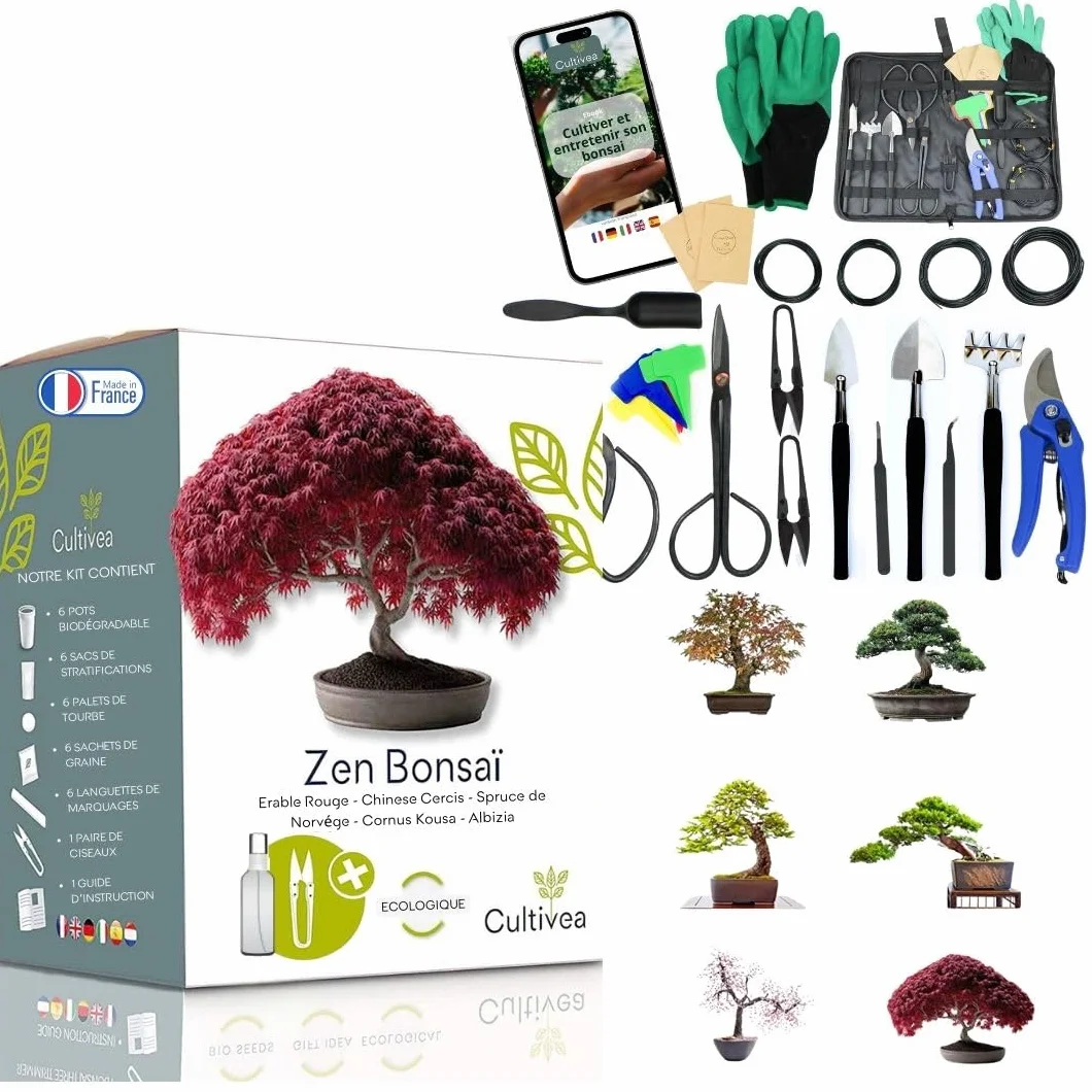 Cultivea Zestaw bonsai Duet 6 bonsai 32 narzędzi stalowych