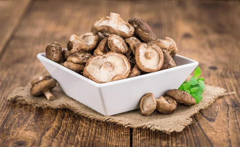 Hawlik Pilzbrut Zaszczepiacz grzybów - uprawiaj grzyby Shiitake na drewnie i pniach drzew - łatwo uprawiaj świeże grzyby - 20 kołków grzybowych z grzybnią do uprawy na brązowym drewnie