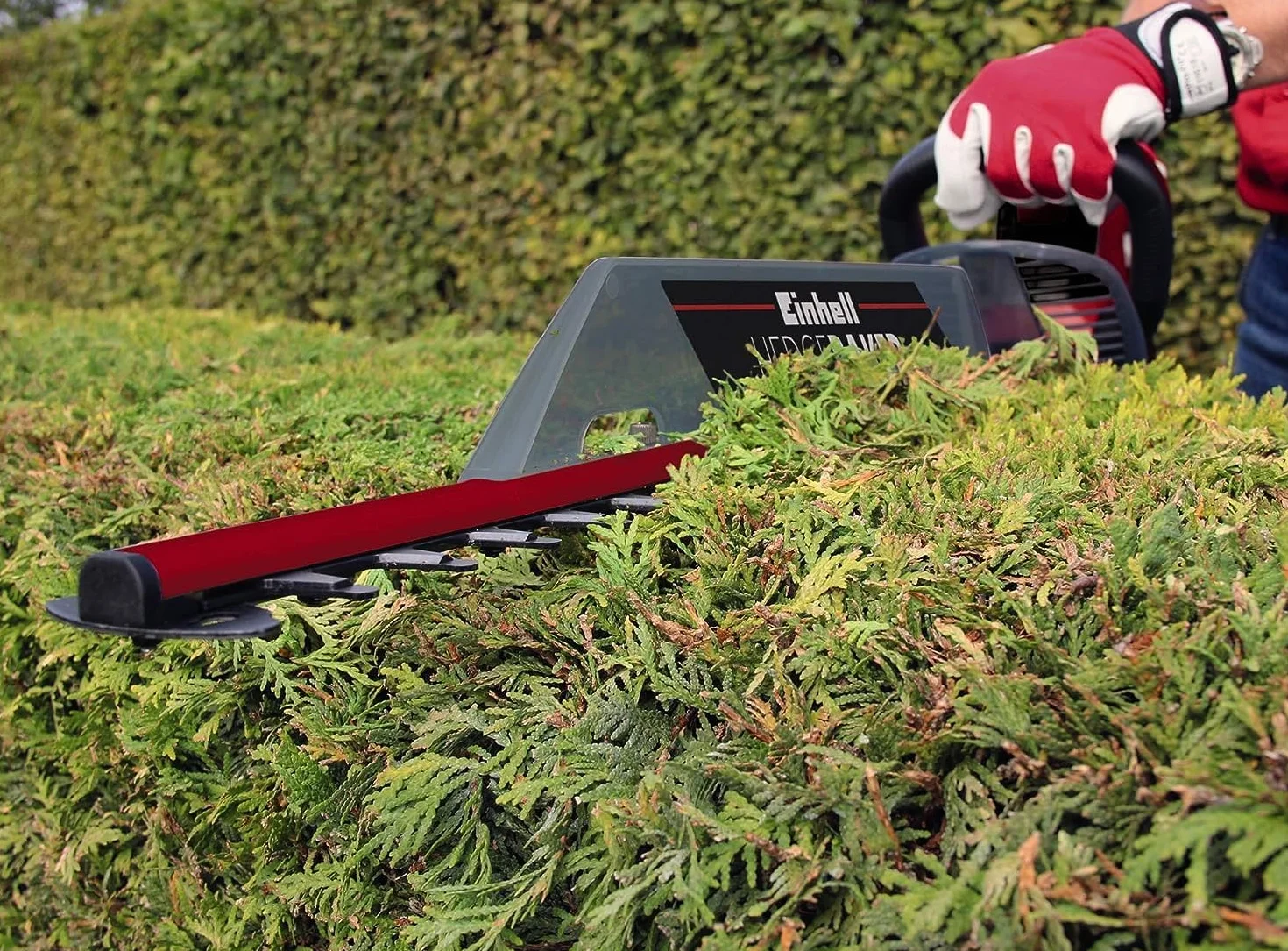 Einhell Gc-Eh 6055/1 Elektryczne Nożyce do Żywopłotu 600 W