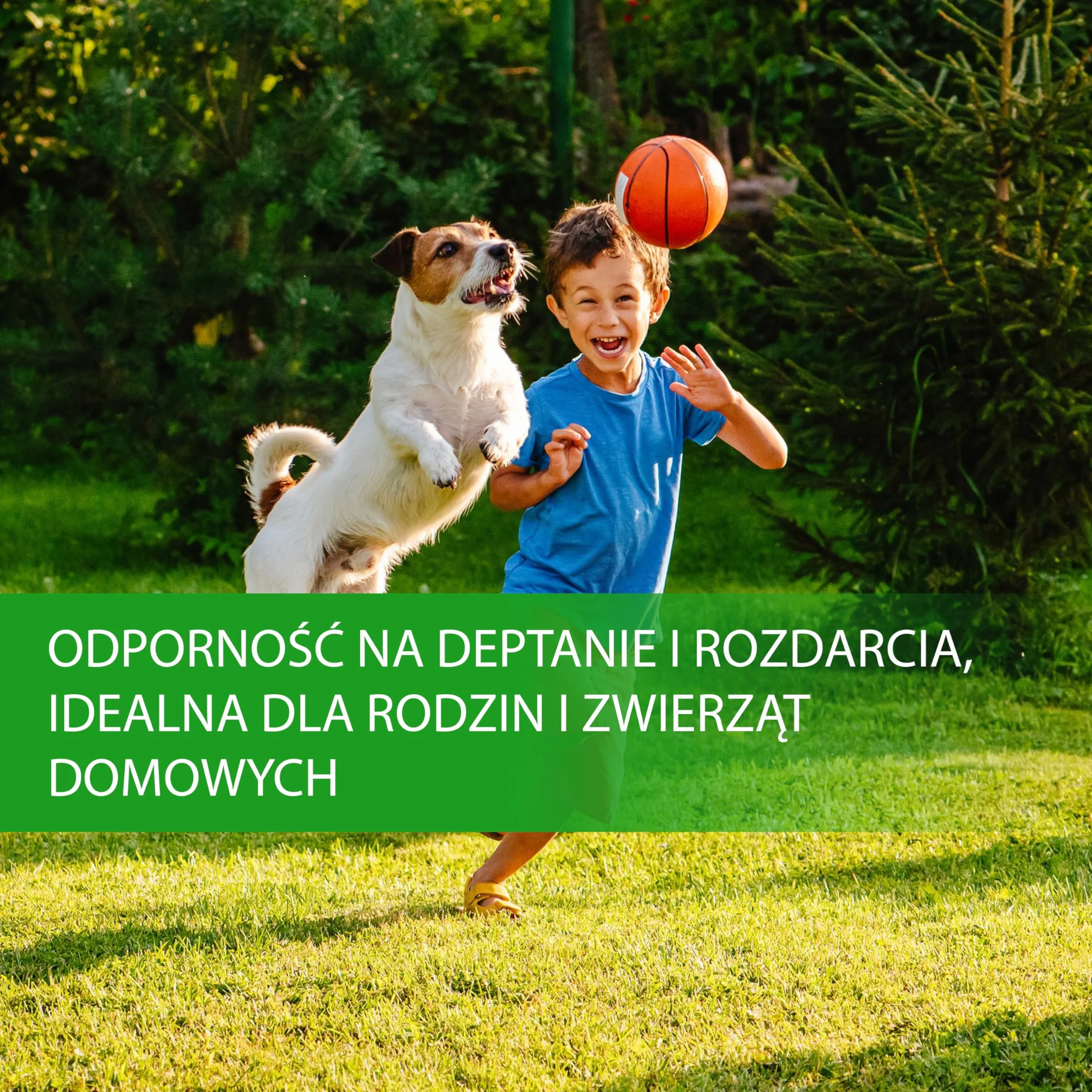 LERAVA Nasiona trawnika Cynodon dactylon (500 g) - Na 50 m² - Deptany i odporne na suszę - Idealne do trawników śródziemnomorskich i nadmorskich - Zużywa do 20% mniej wody - Made in Italy