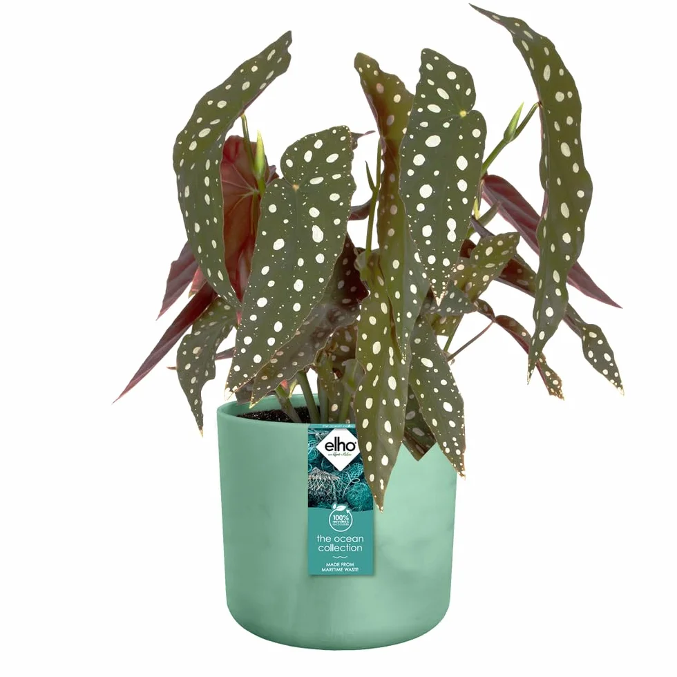 elho The Ocean Collection okrągła 18 cm – doniczka na kwiaty do wewnątrz, w 100% z recyklingu, wykonana z odpadów morskich, zielona/zieleń Pacyfiku